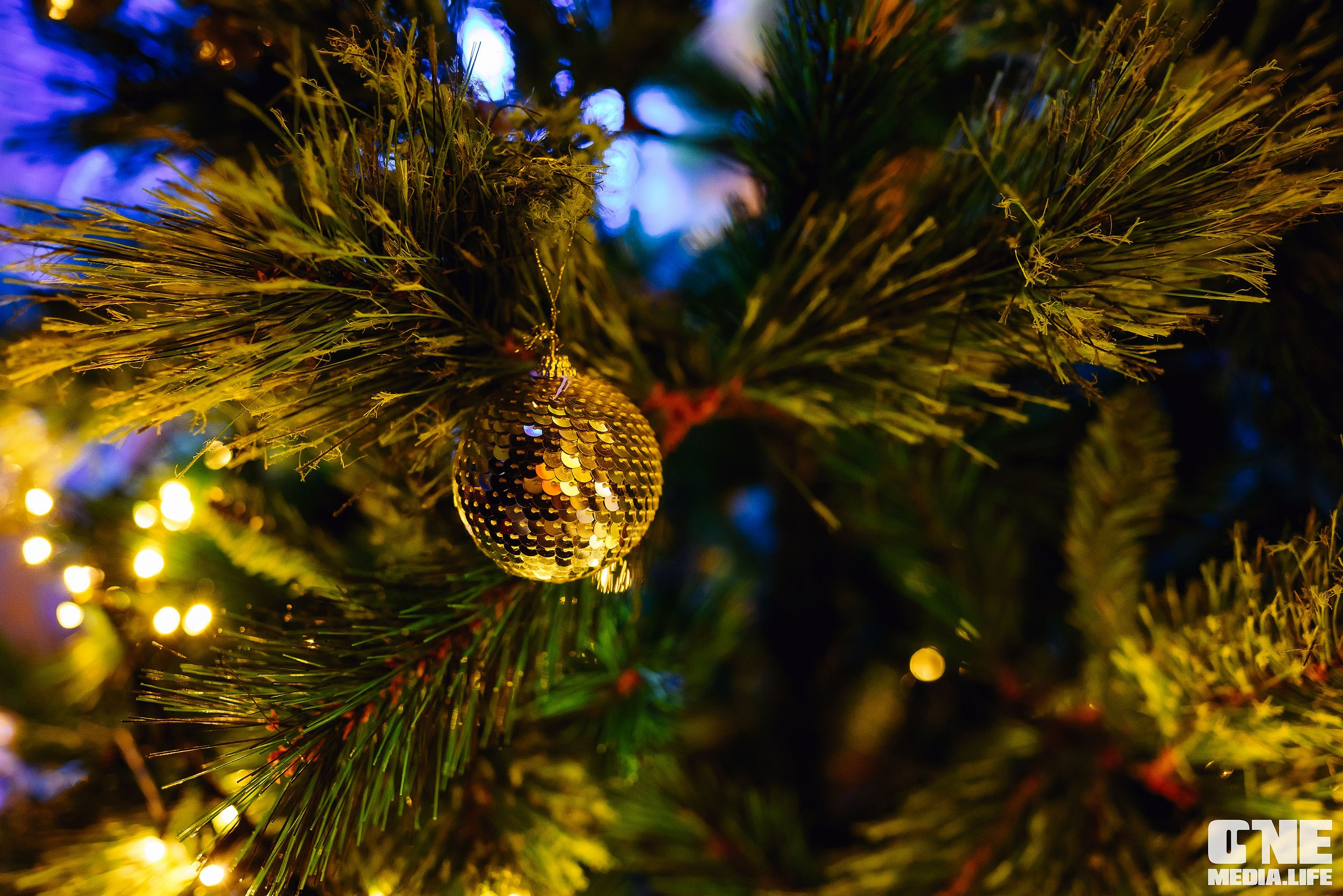 Christmas Karaoke Show в Эйфории. Часть 2. One Media Life: фоторепортажи, фотоотчеты с мероприятий и заведений