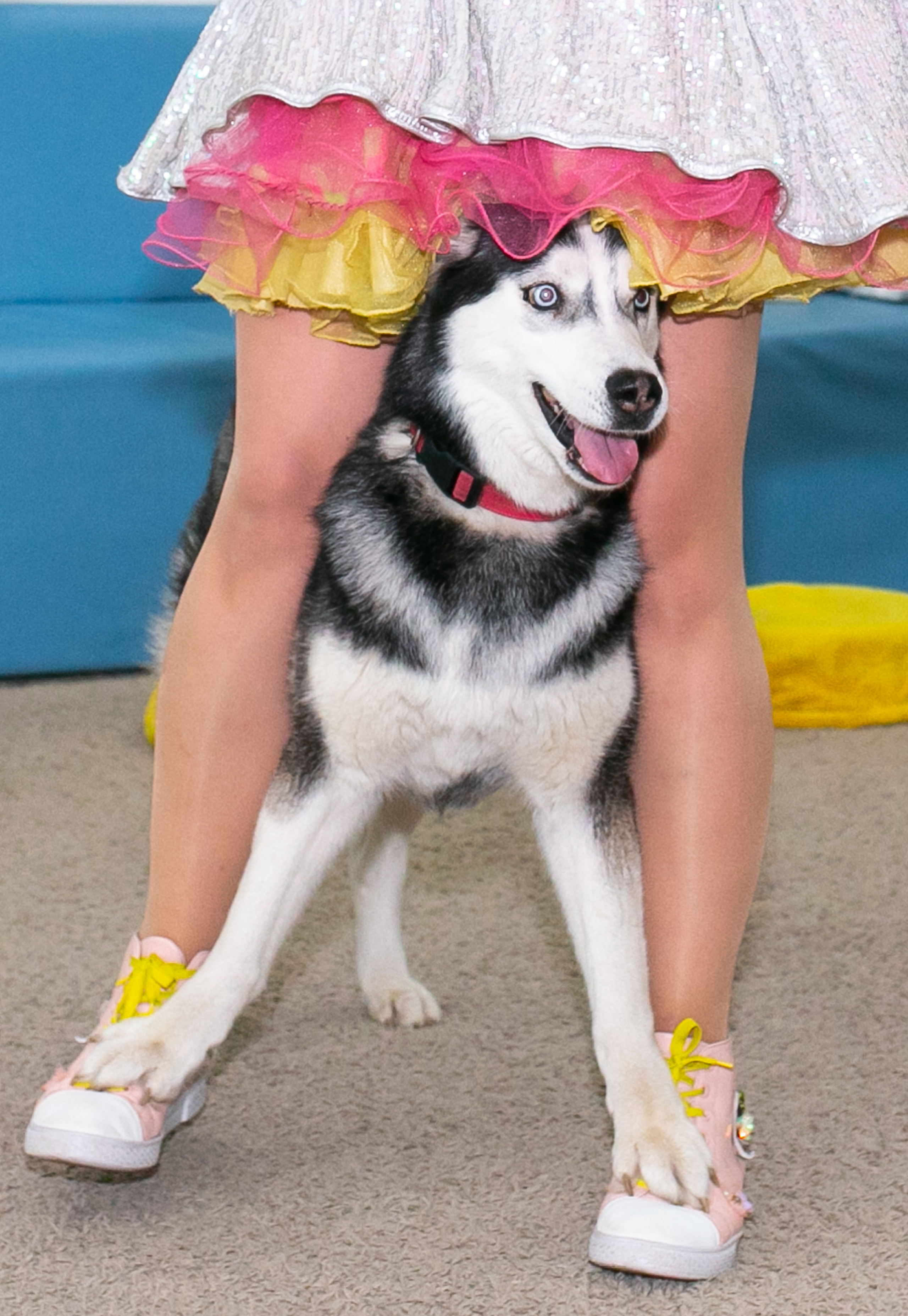 Праздники. Фотограф новорожденных и семейный фотограф НСО г. Бердск Марина Львова