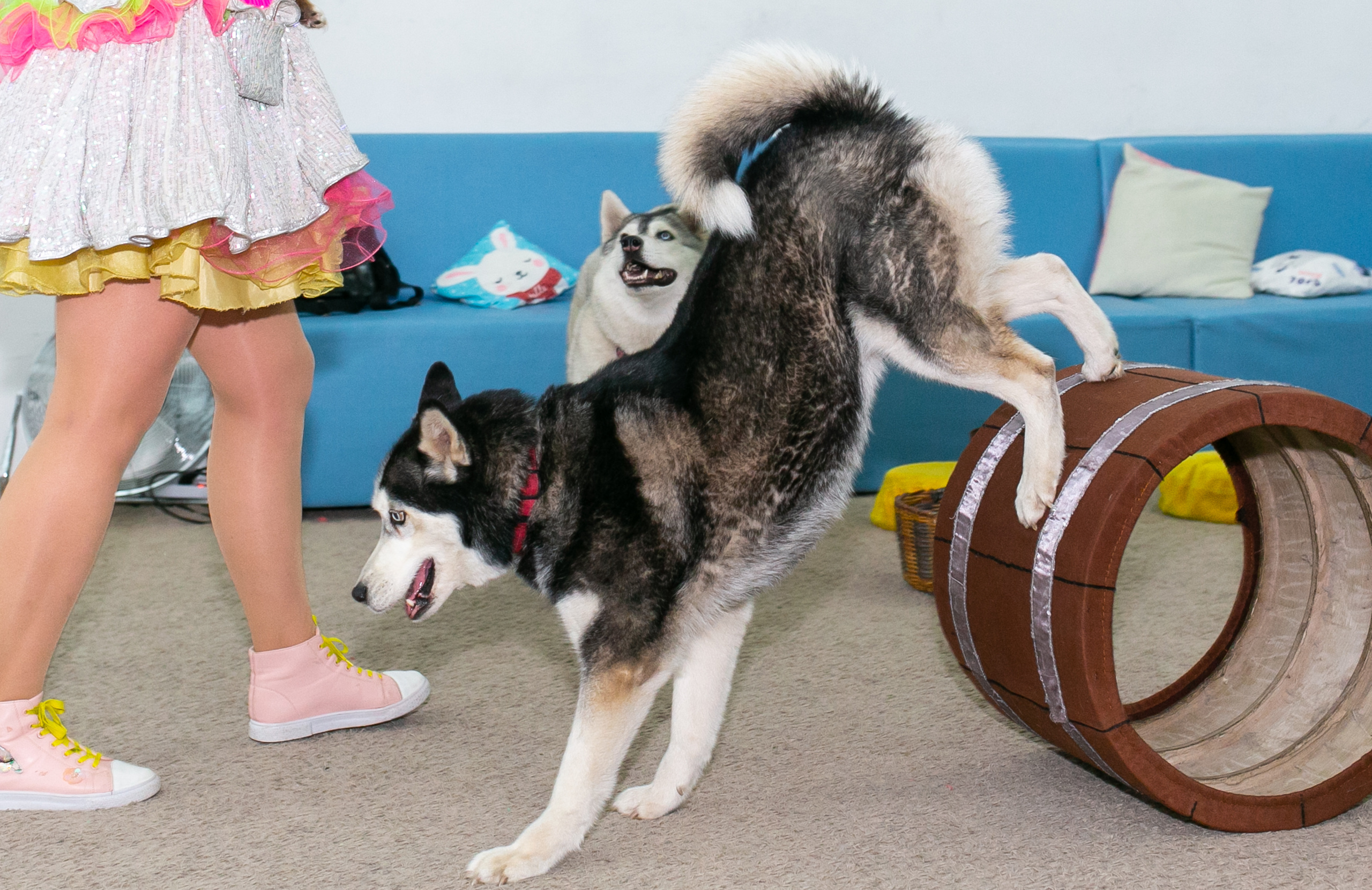 Праздники. Фотограф новорожденных и семейный фотограф НСО г. Бердск Марина Львова