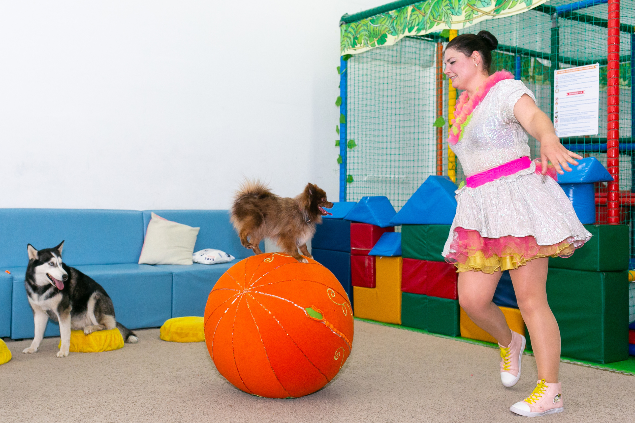 Праздники. Фотограф новорожденных и семейный фотограф НСО г. Бердск Марина Львова