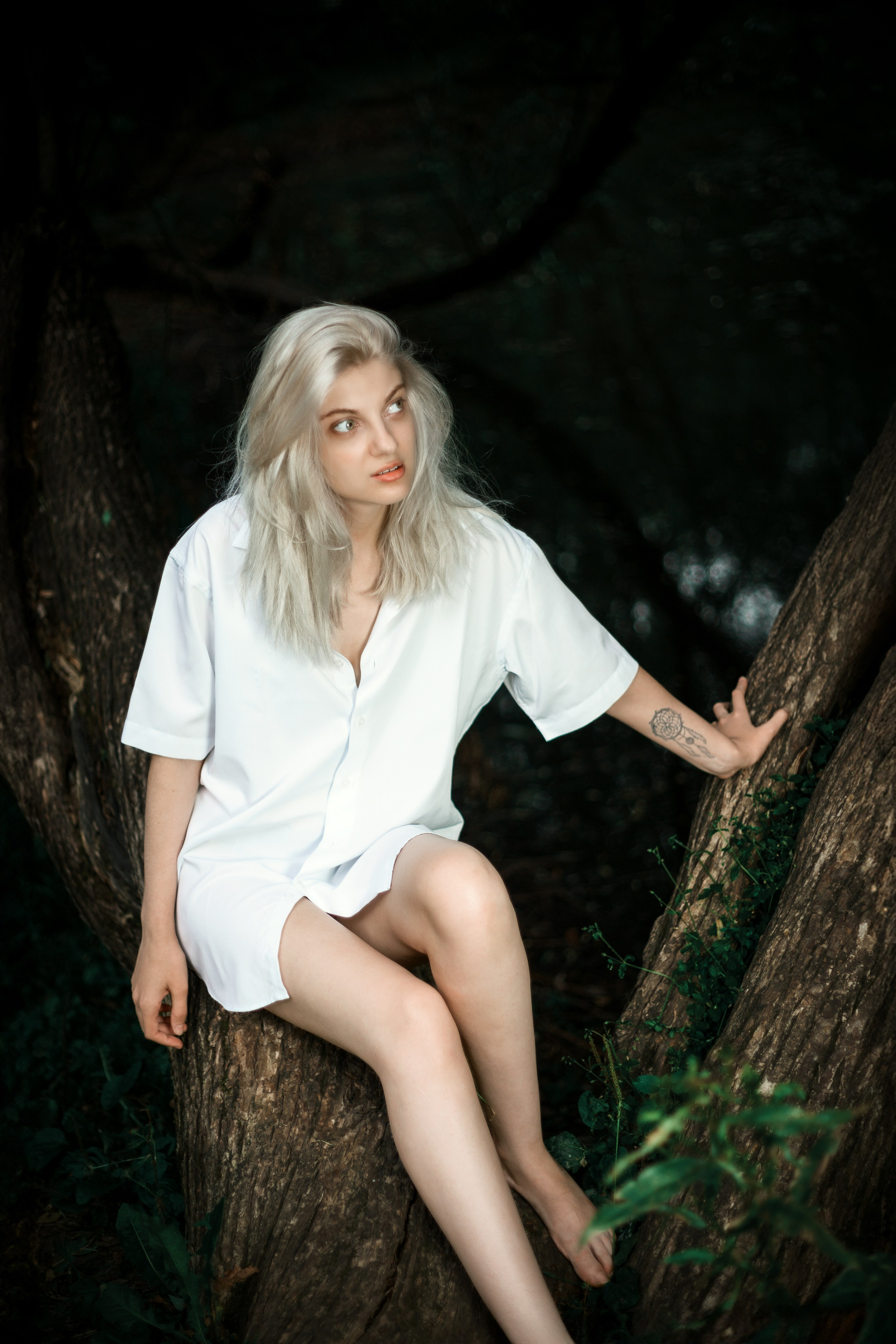 Откройте для себя магию "Белоснежной гармонии" в этом фотоальбоме, где девушка с белоснежными волосами предстаёт в утончённых образах на природе. Наслаждайтесь кадрами, где она лежит на дереве у озера и на траве, с элегантной рубашкой, добавляющей загадочности и эстетики. Девушка, молодая девушка, Блондинка, Фотосеесия, Подросток, Крашенные волосы, Озеро, Рубашка, Позировка, Потрет, Полуголая, Полуголая девушка, Девушка в белье, Дерево, Озеро, Красотка, Ноги, Трава, Ню,