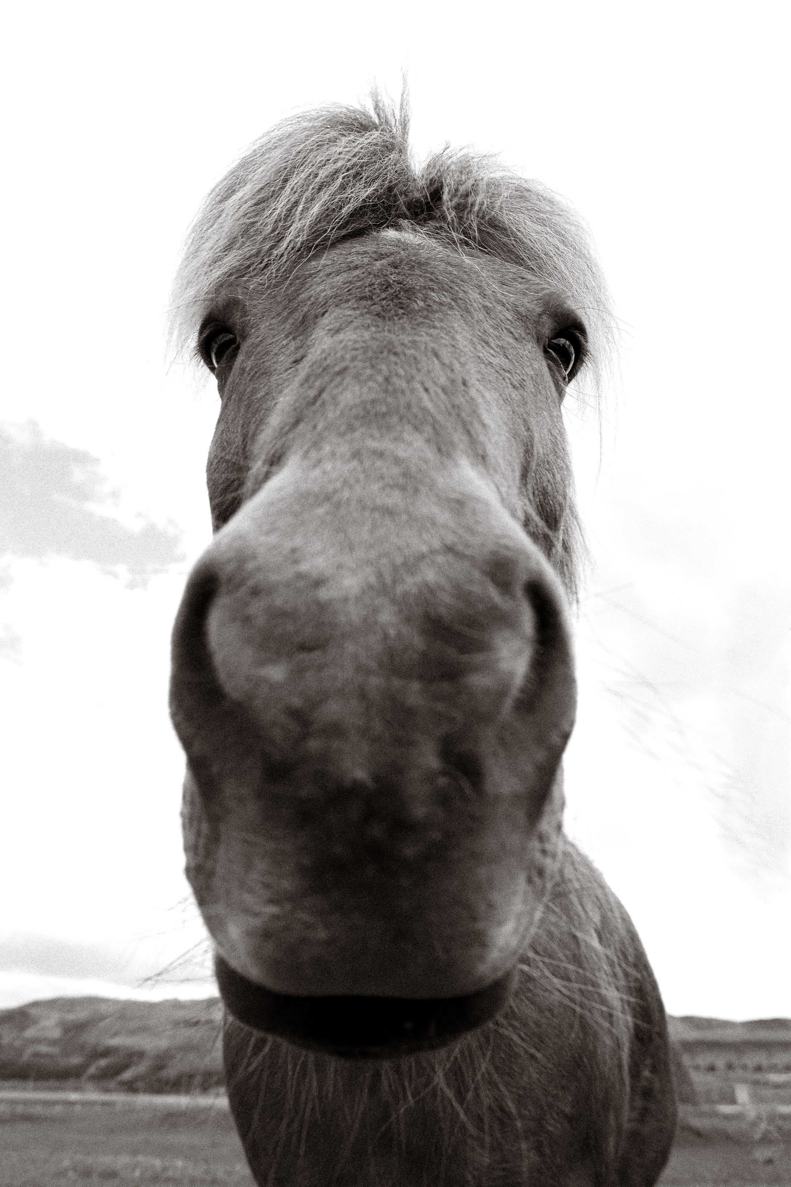 Iceland. Photographer