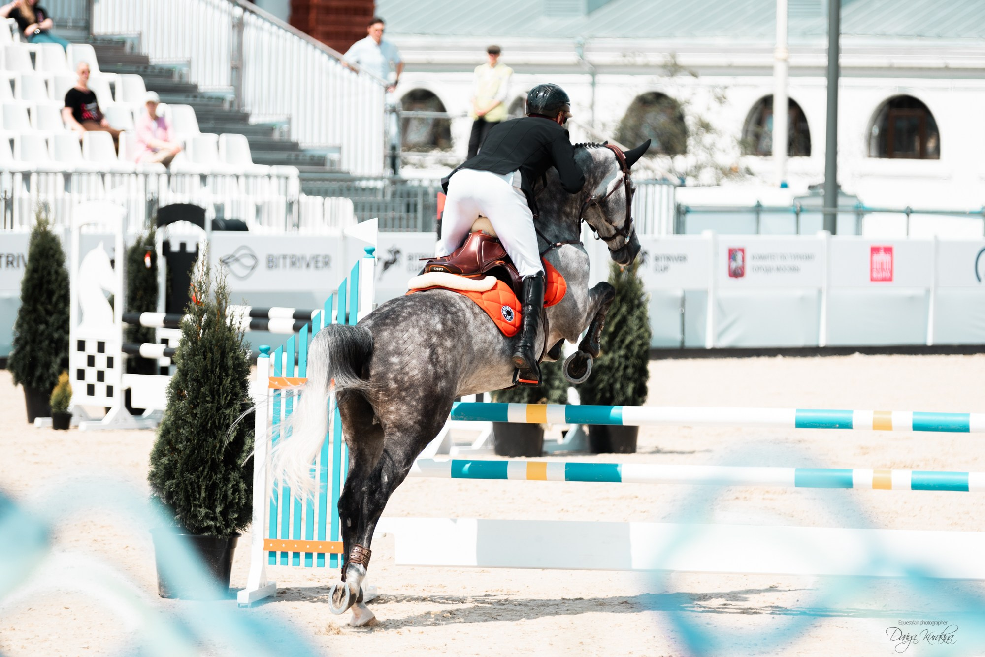 BITRIVER CUP 2023. Конный фотограф Куракина Дарья • Фотосессии с лошадьми