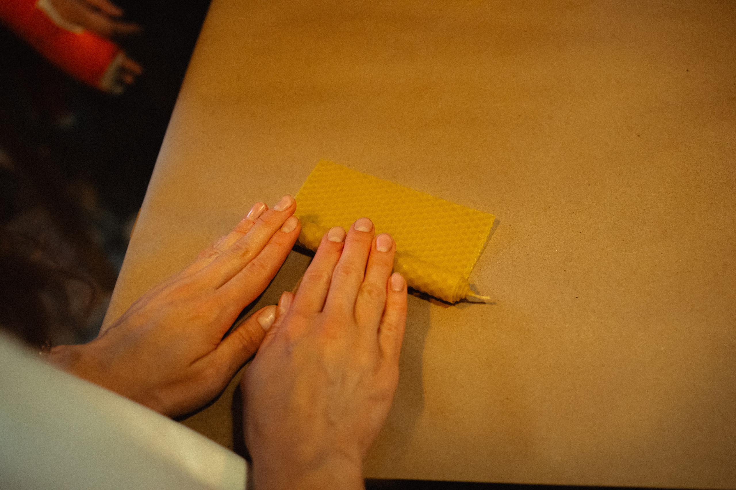 Выездной дог-тренинг от школы «Шерсть имею»