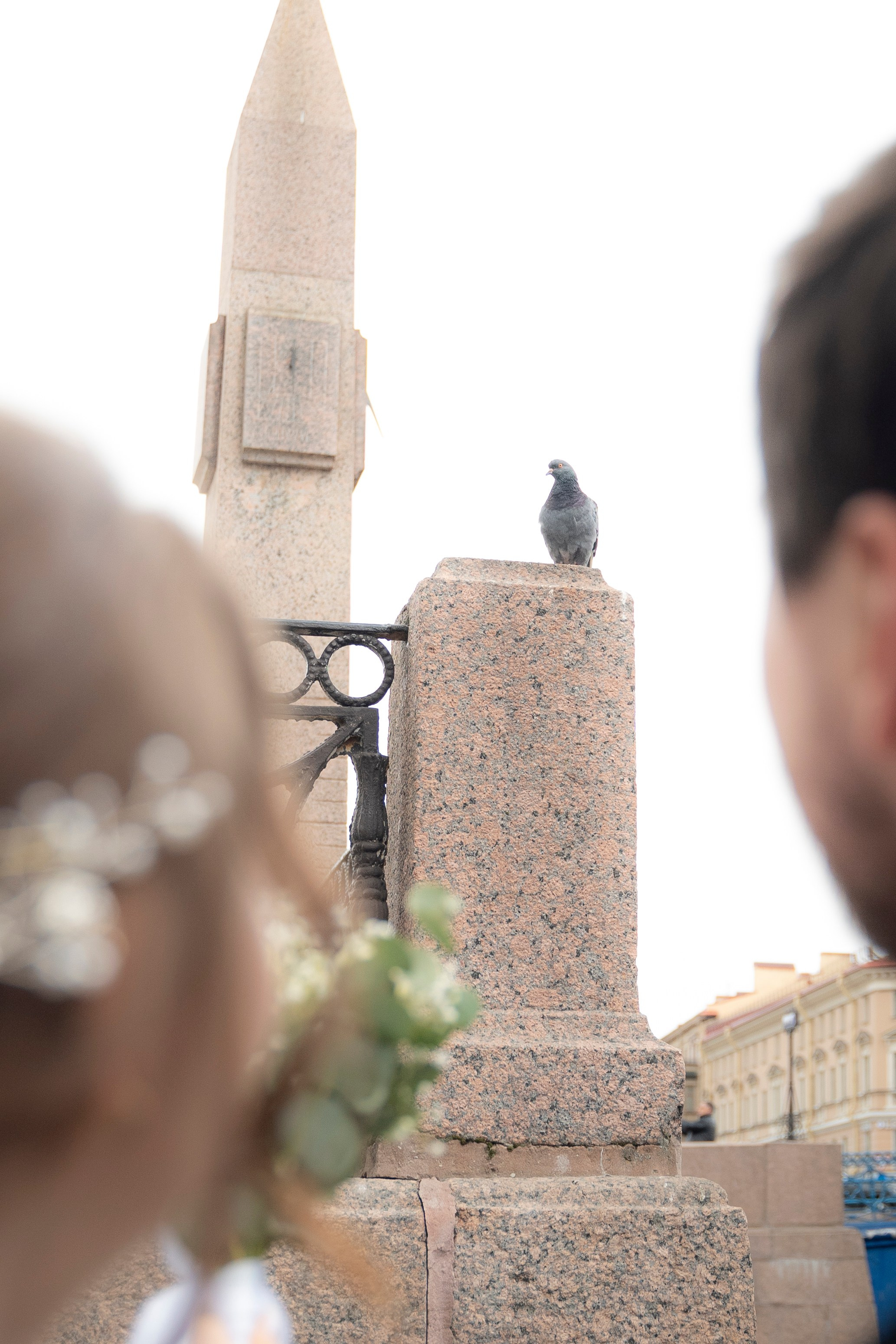 Дима + Диана. Professional photoartist in St. Petersburg (wedding, reportage, portrait, model book, love story) Alexander Shvedov