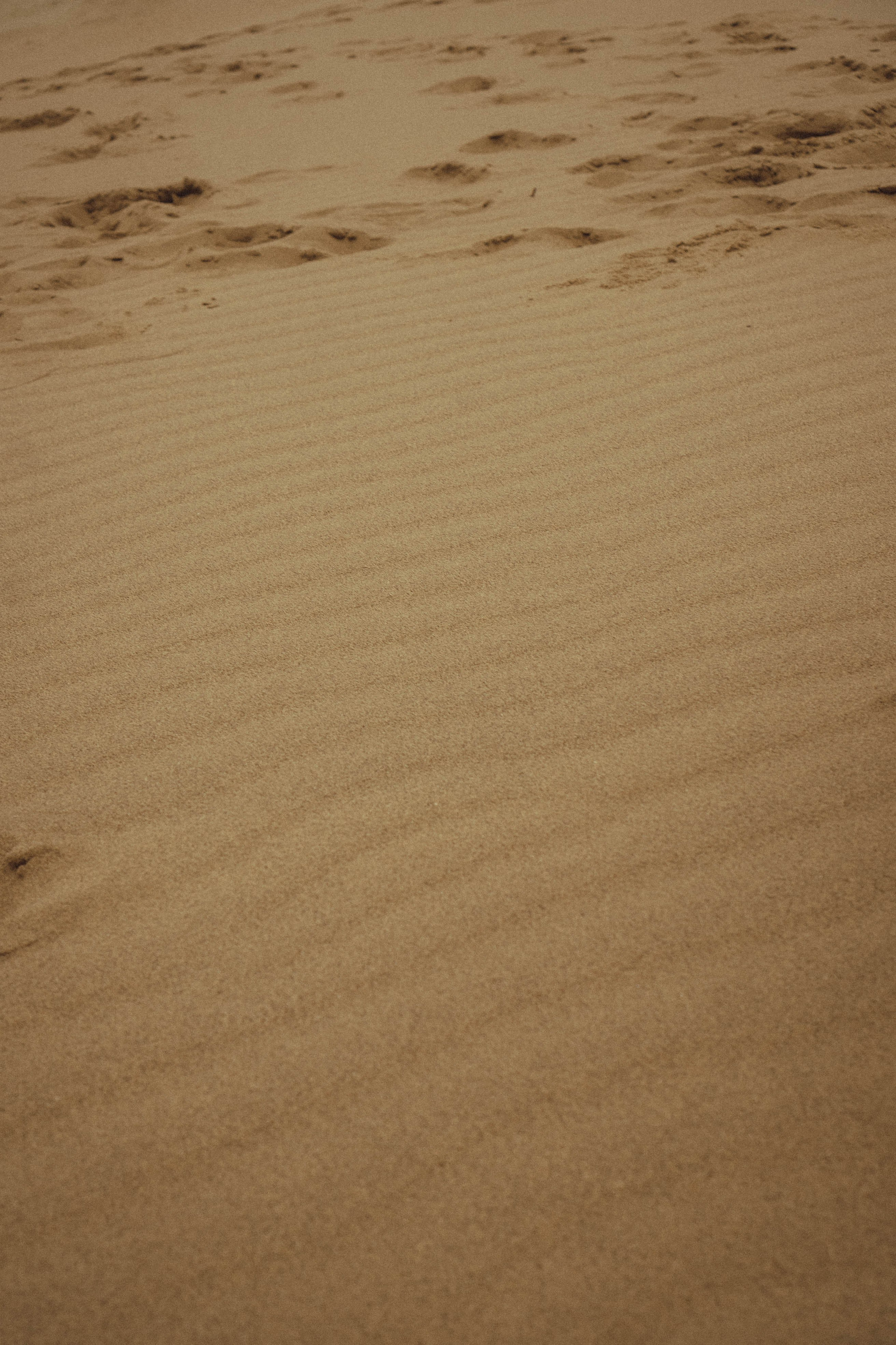 Кавказ. Профессиональный фотограф, Санкт-Петербург — Виктория Богомолова