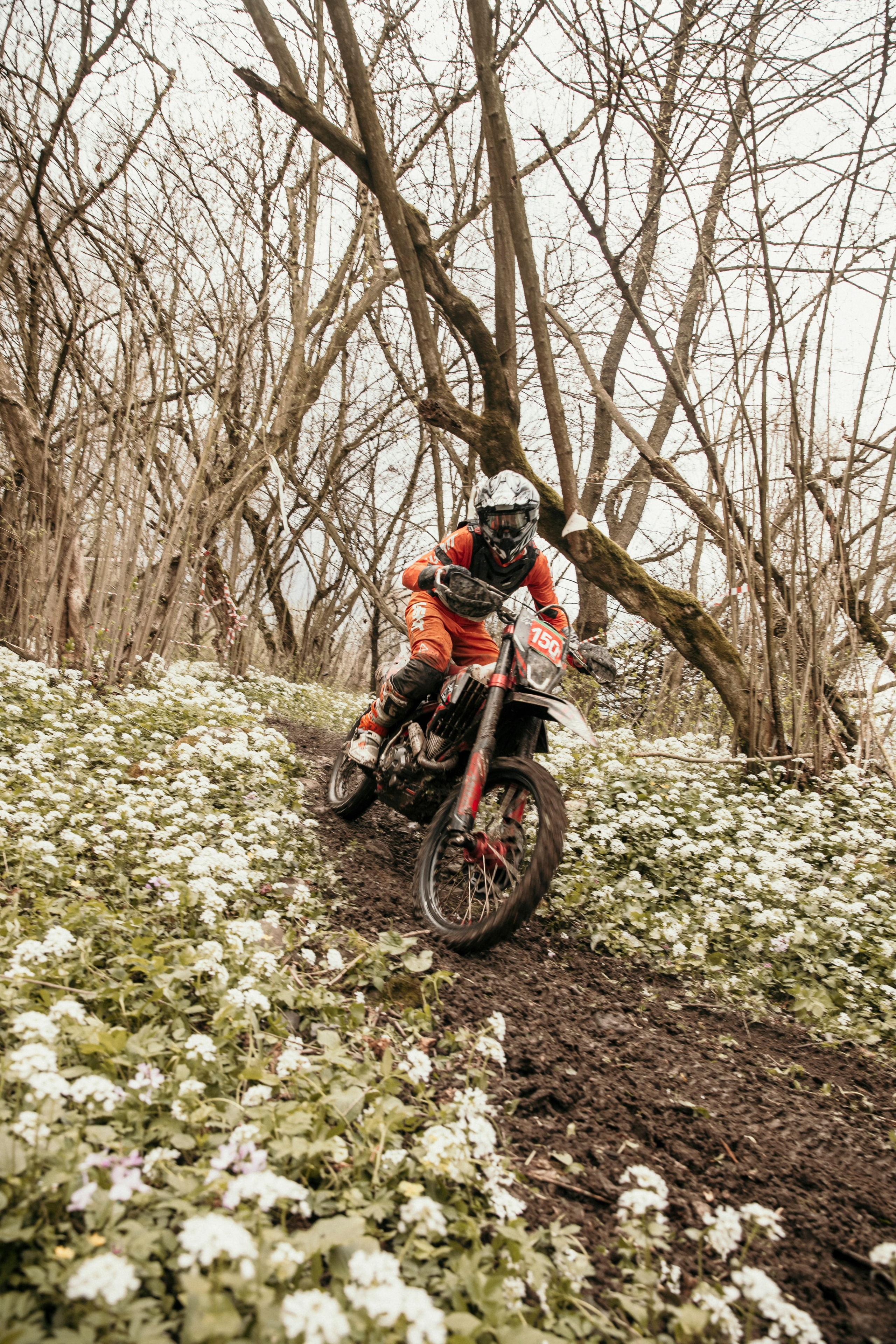 Мотоспорт / соревнования