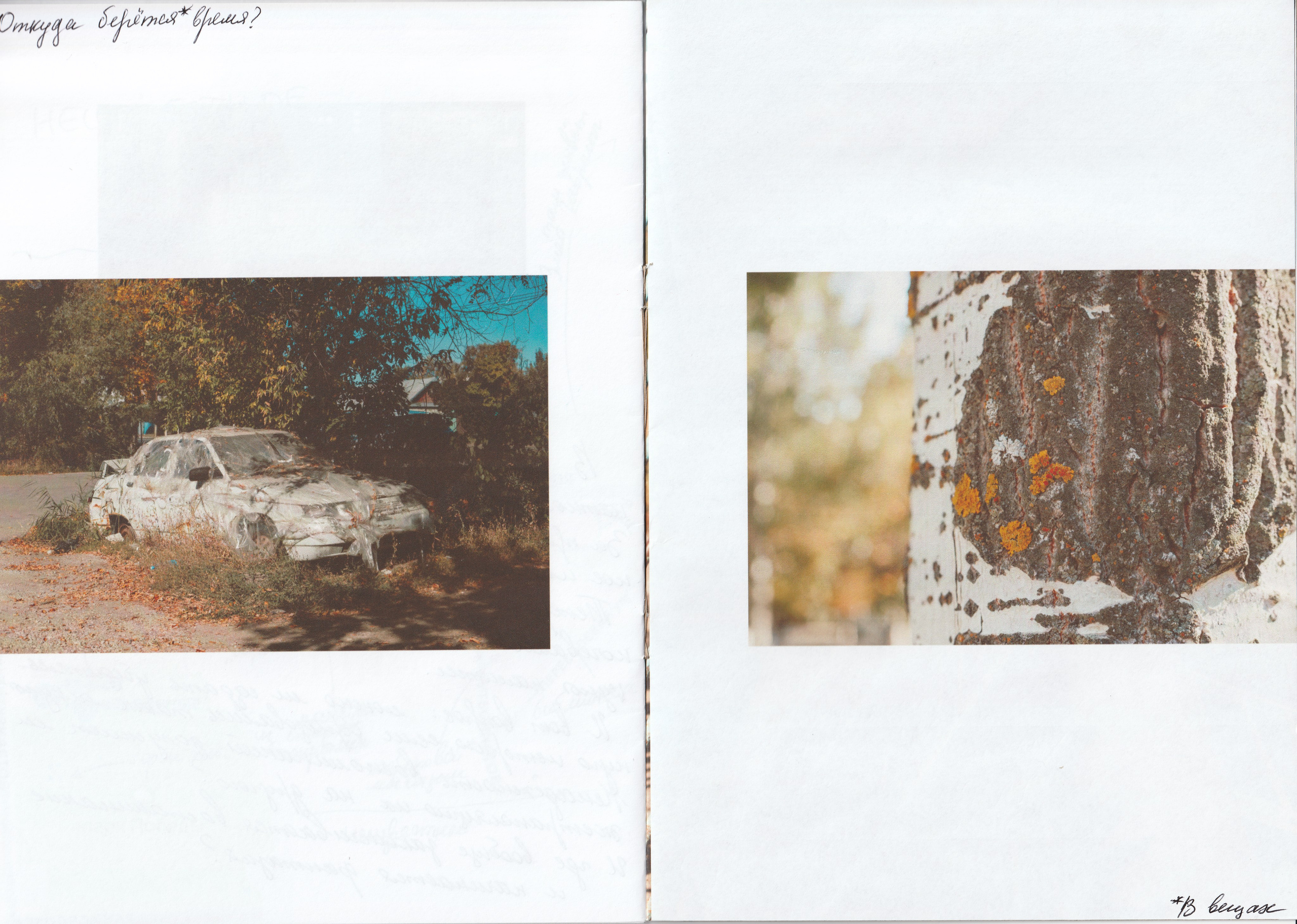 Отчуждение. Фотограф Дарина Фельдман