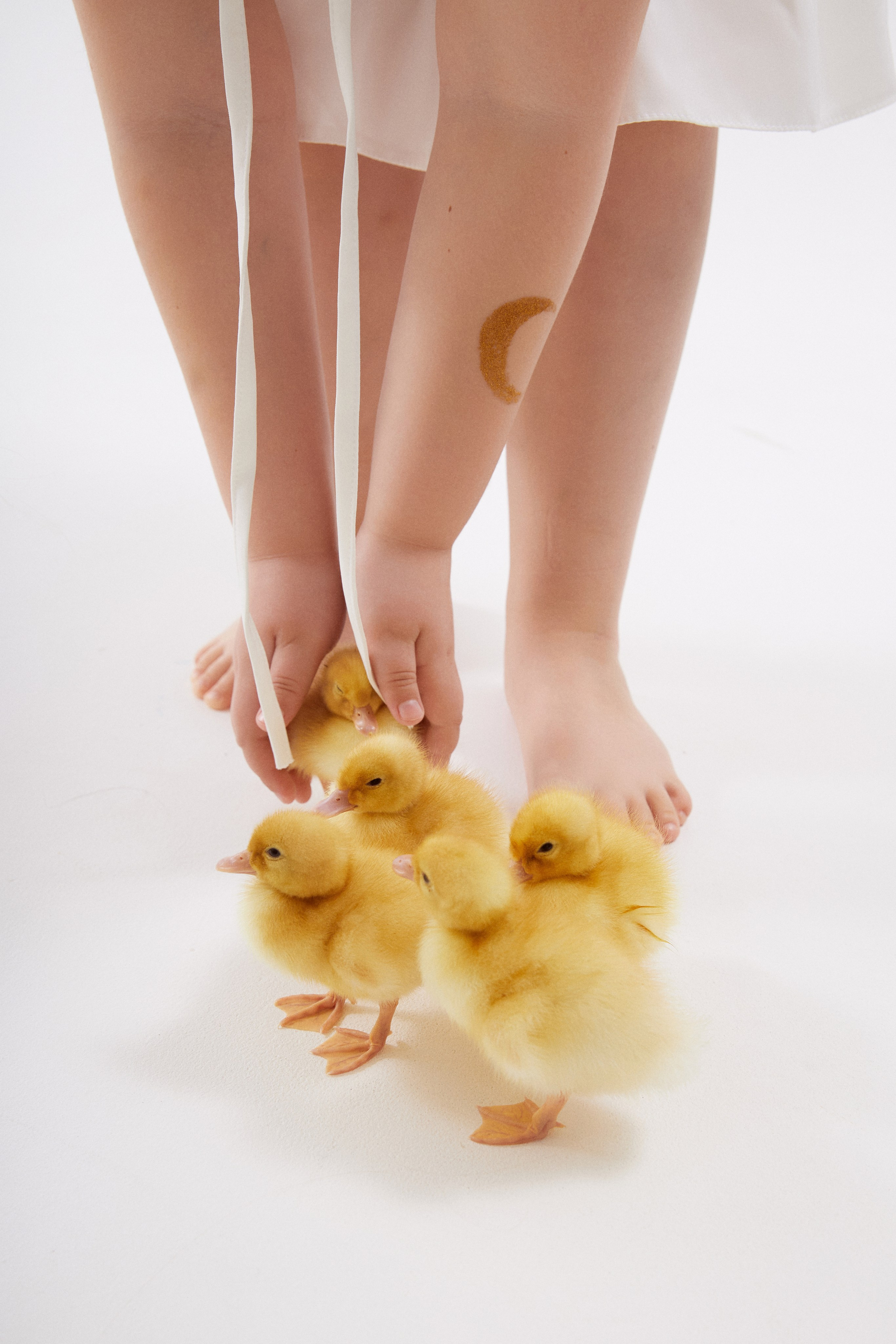 Фотодень с утятами. Фотограф