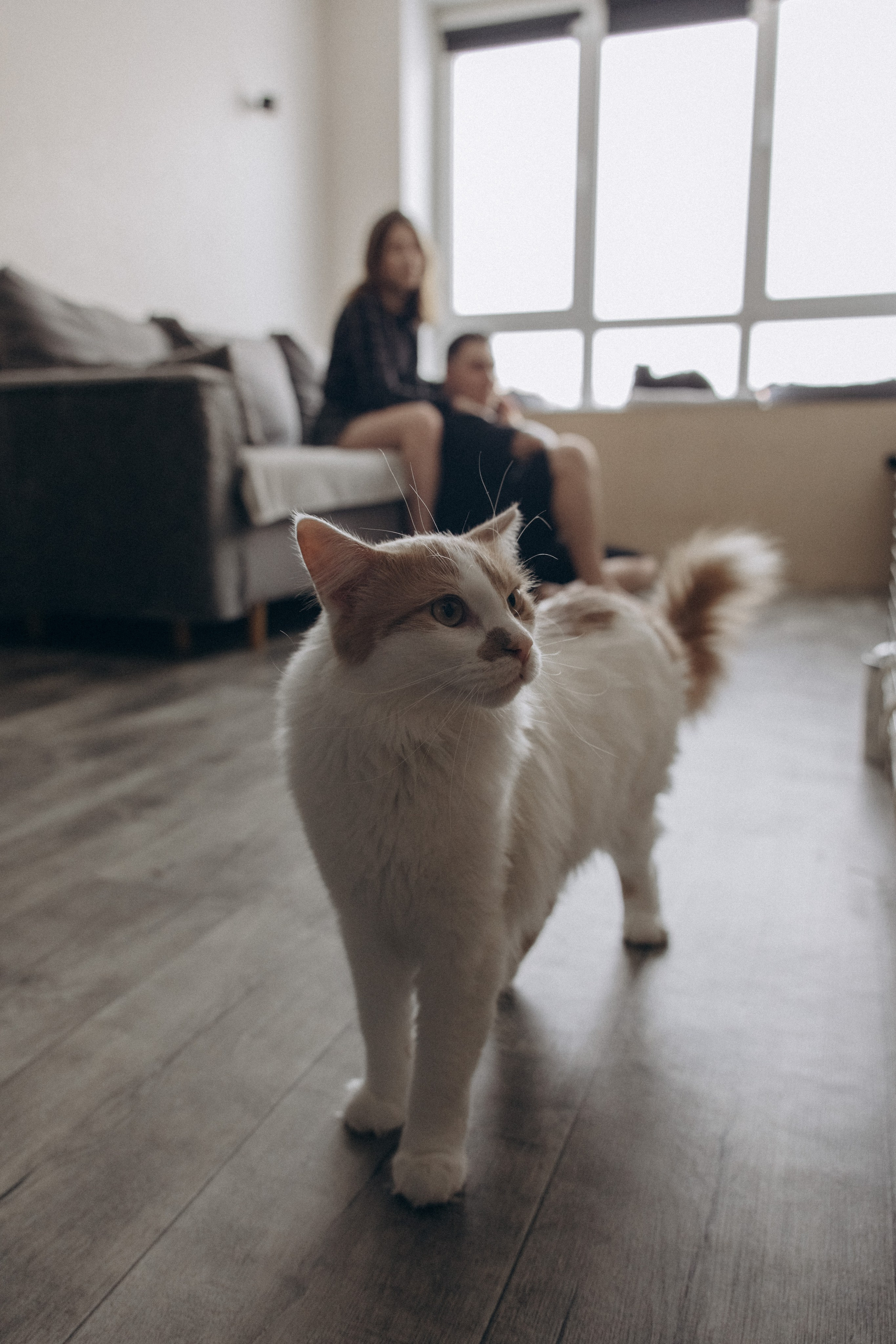 Домашняя lovestory. Семейный фотограф в Санкт-Петербурге Екатерина Васильева