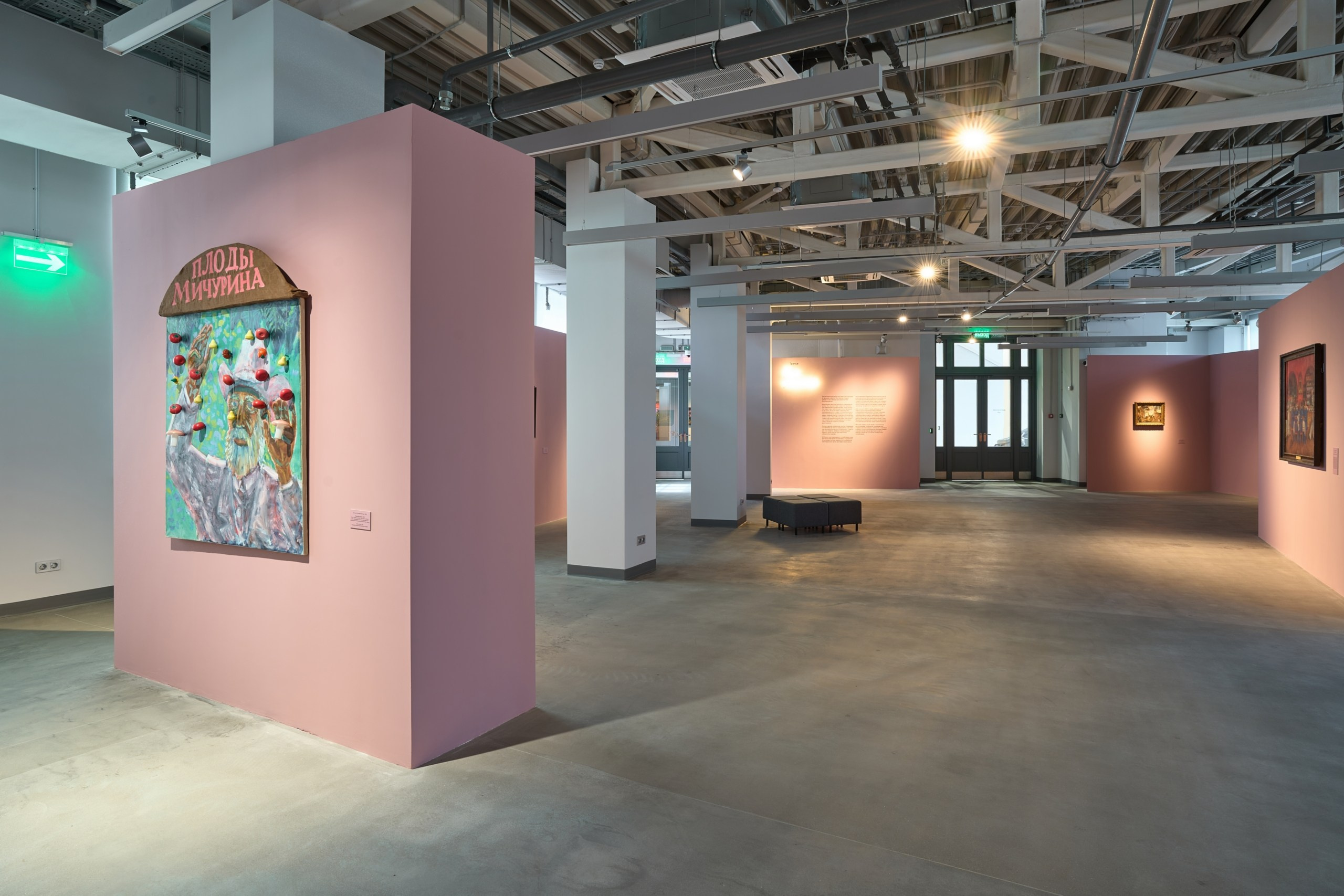 Открытие филиала Третьяковской Галереи. Фотограф Евгений Шаров