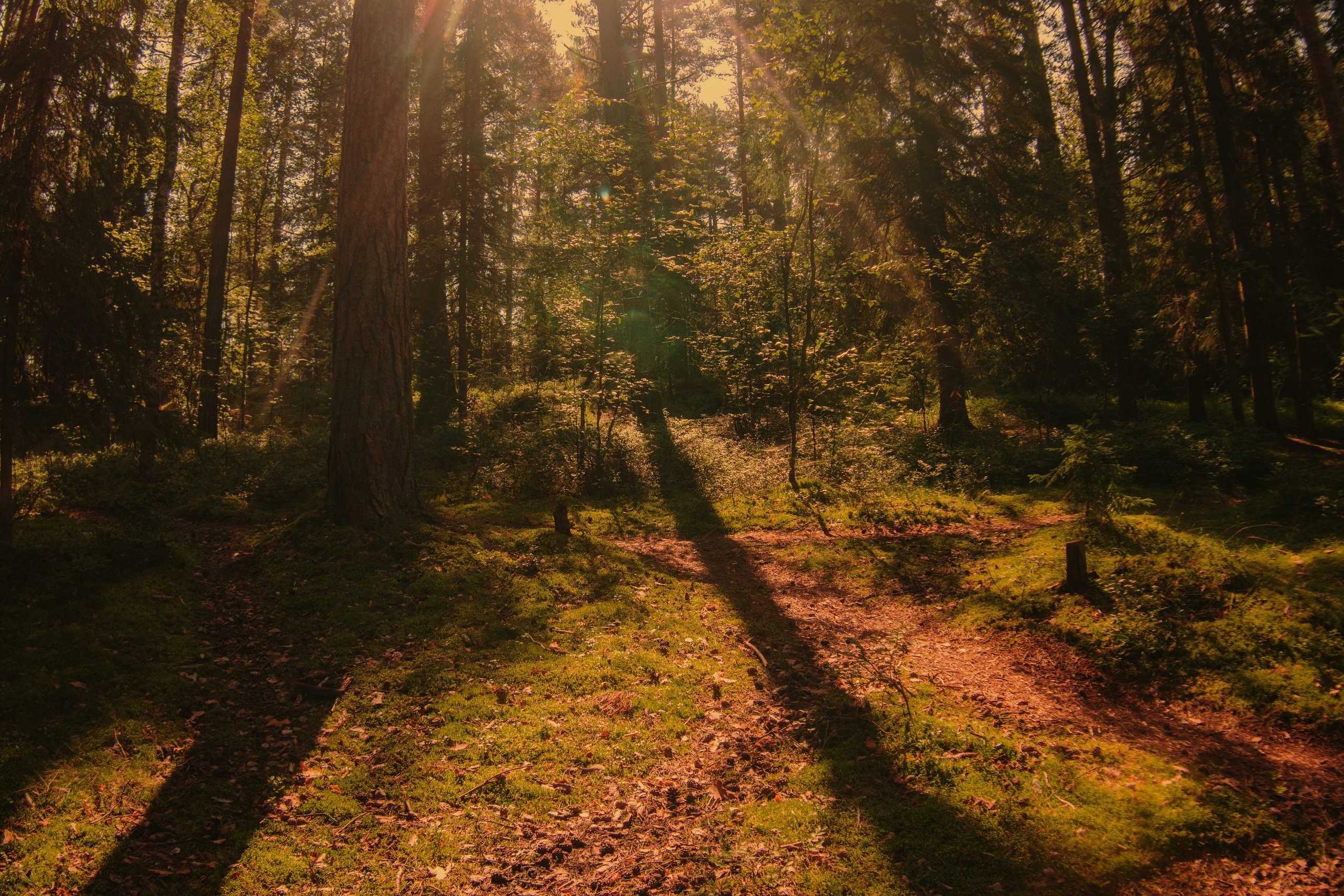 И вокруг меня. Портретный и концертный фотограф в Санкт-Петербурге Егор Телятников