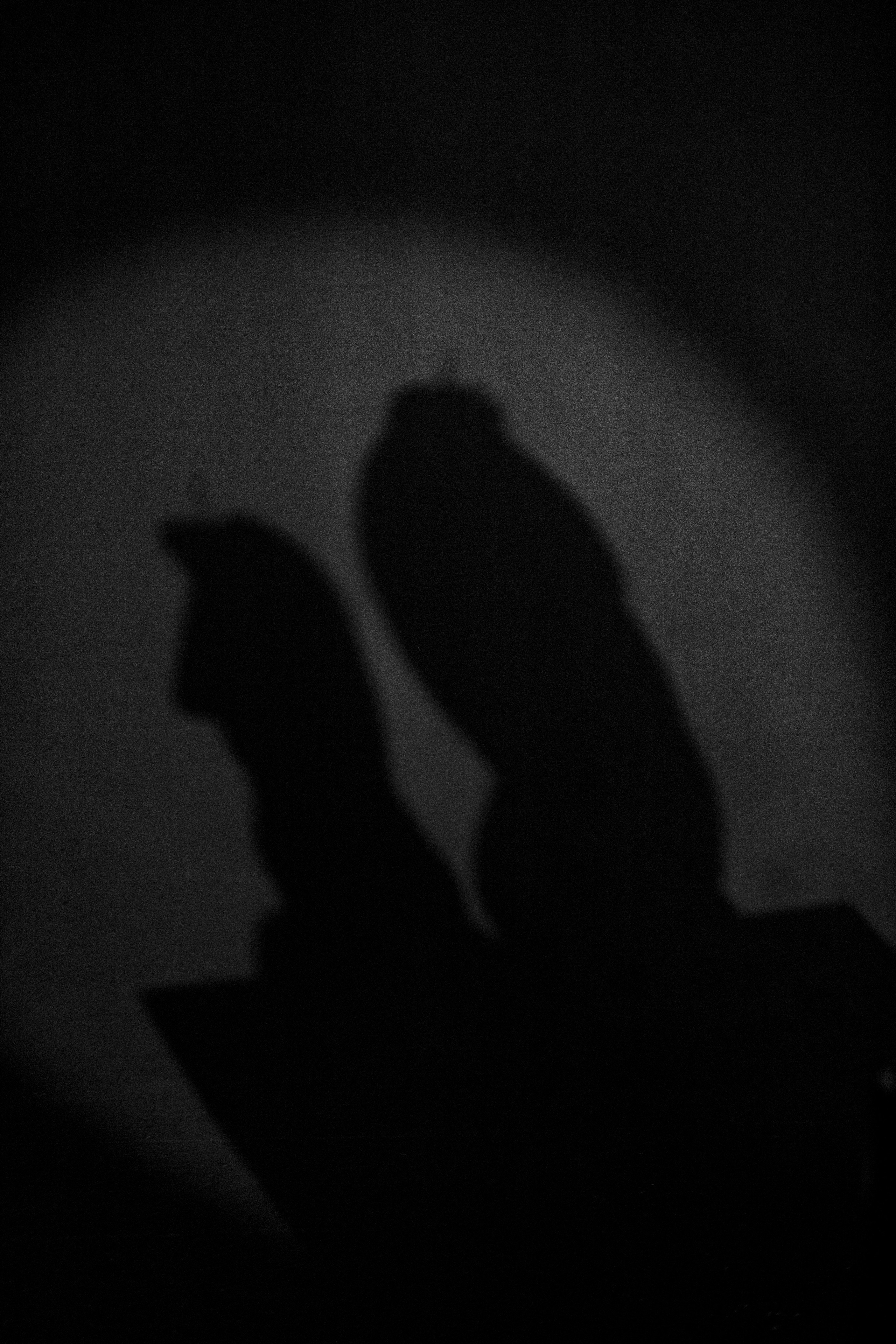 Фотосессия свечей ручной работы в фотостудии в Санкт-Петербурге. Фотограф в Санкт-Петербурге, Анна Скворцова