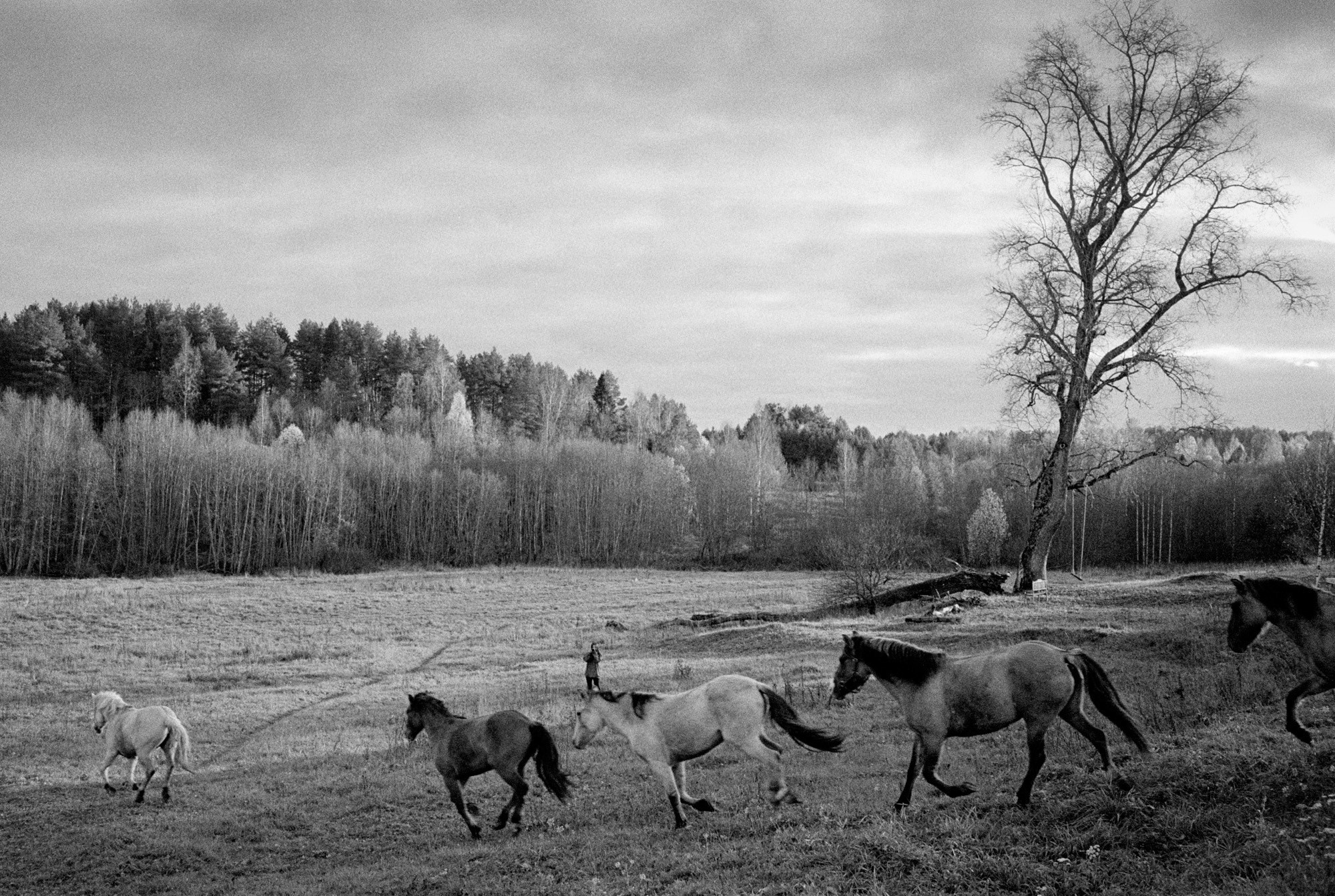 Кострома Blues. Документальный фотограф Алексей Мякишев, Москва