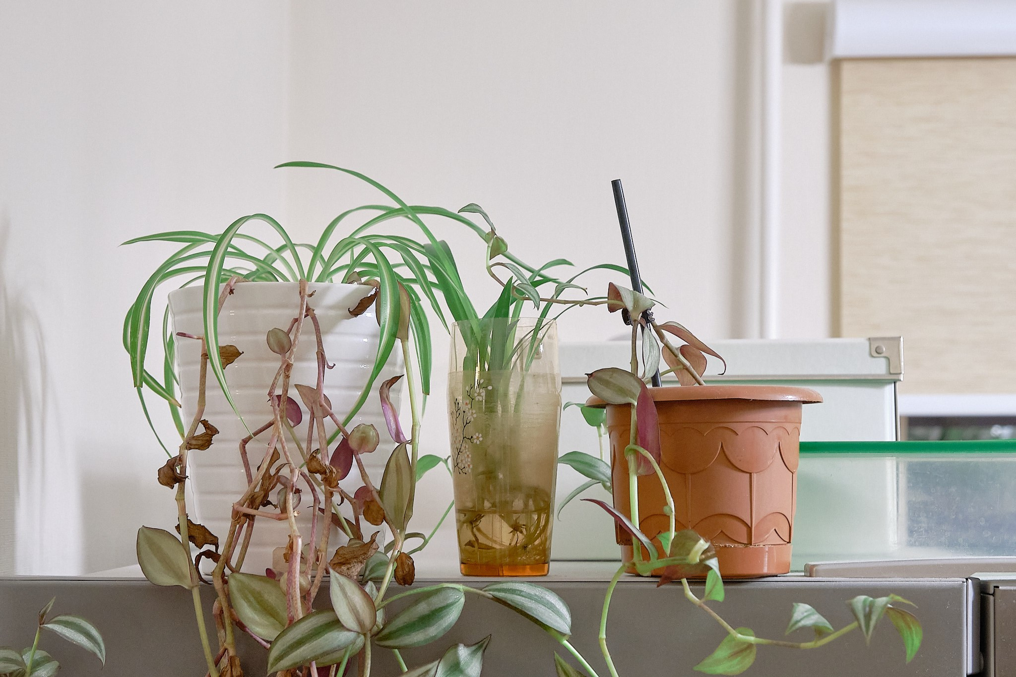 Интерьеры. Игорь Скабелин