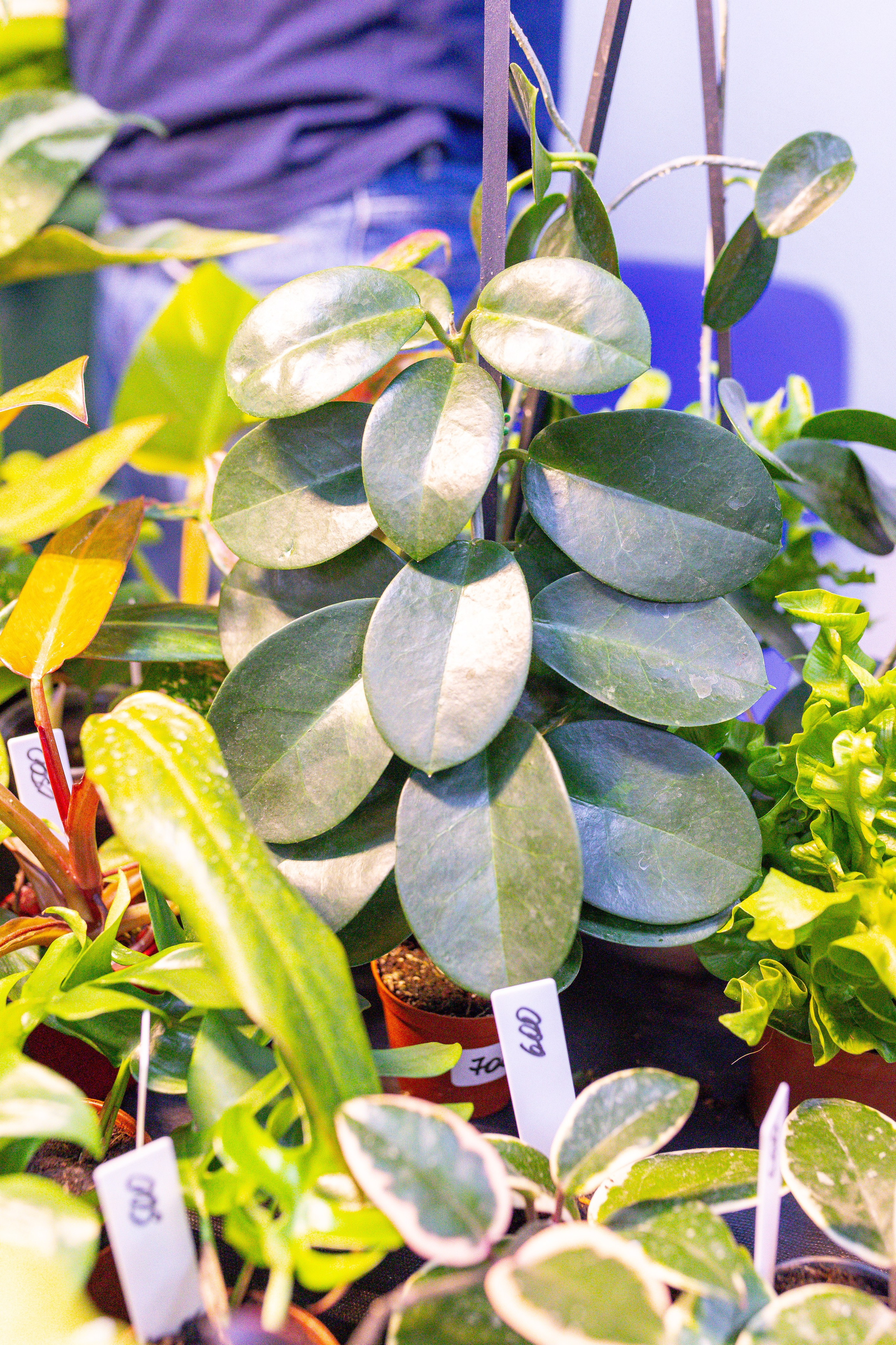 Монстериум 11–12 октября. Александра Куликова фотограф, Москва