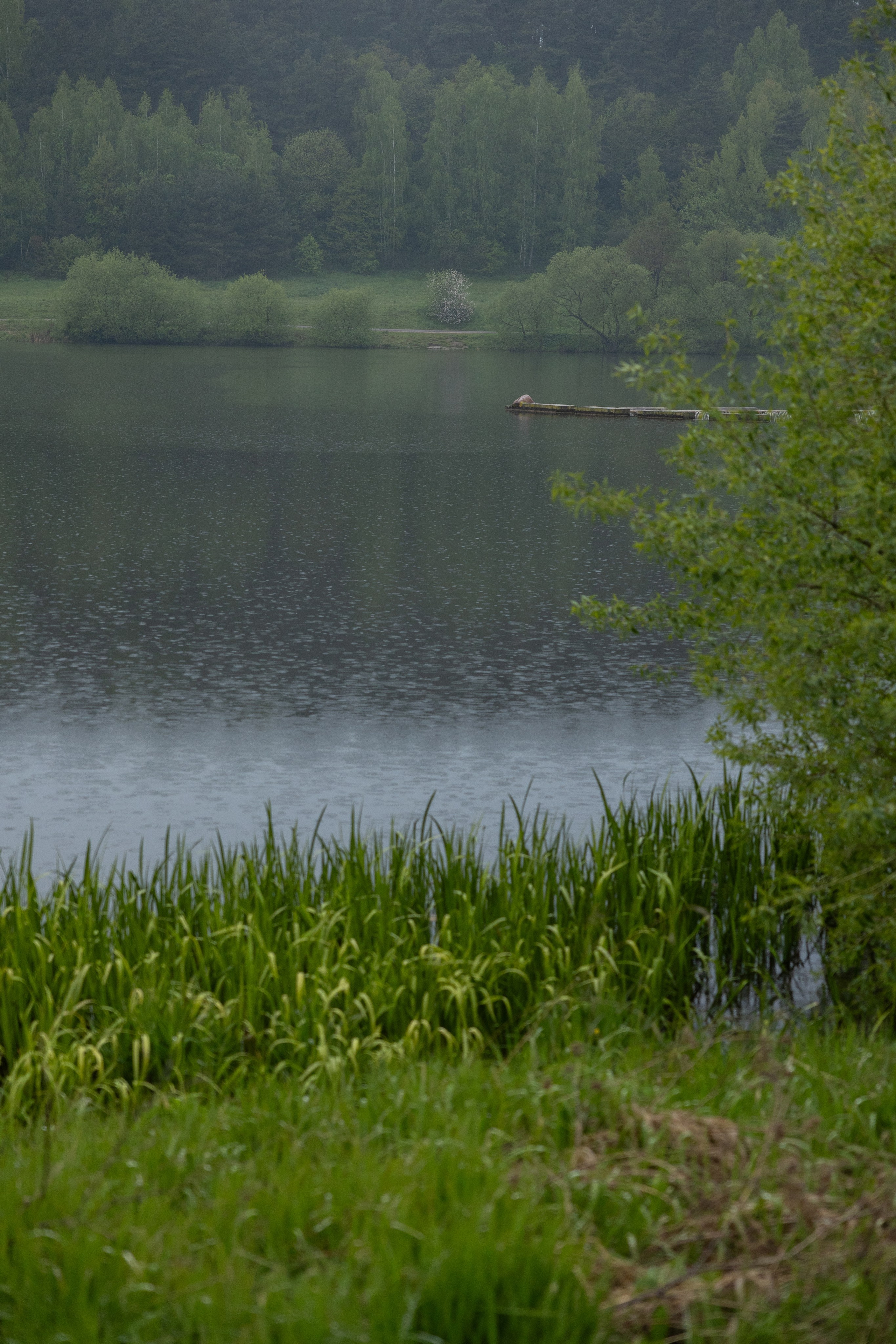 Ксения&Дима. Свадебный фотограф по всей Беларуси Цепелева Анна