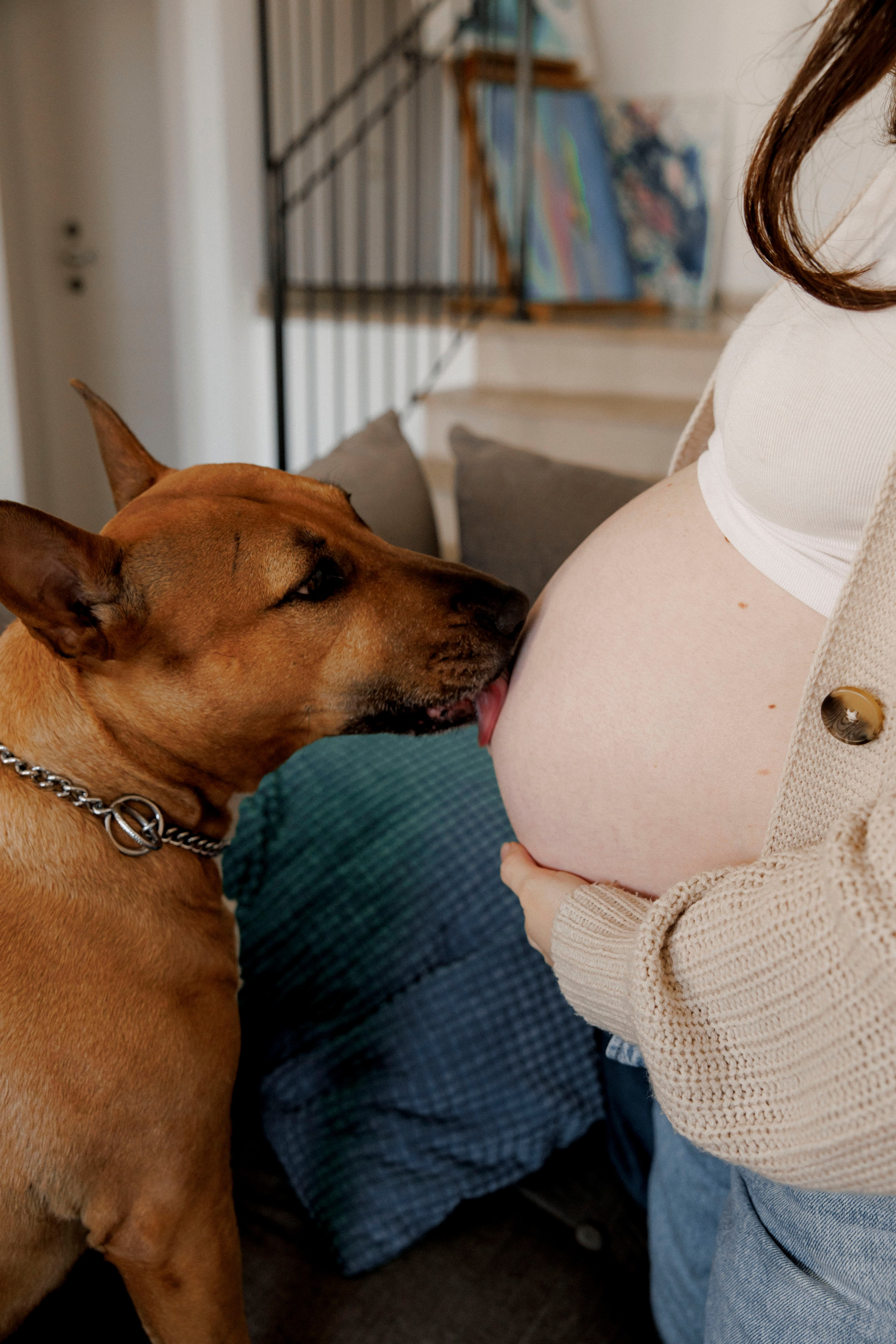 Pregnancy photoshoot (home/park/beach). Главная