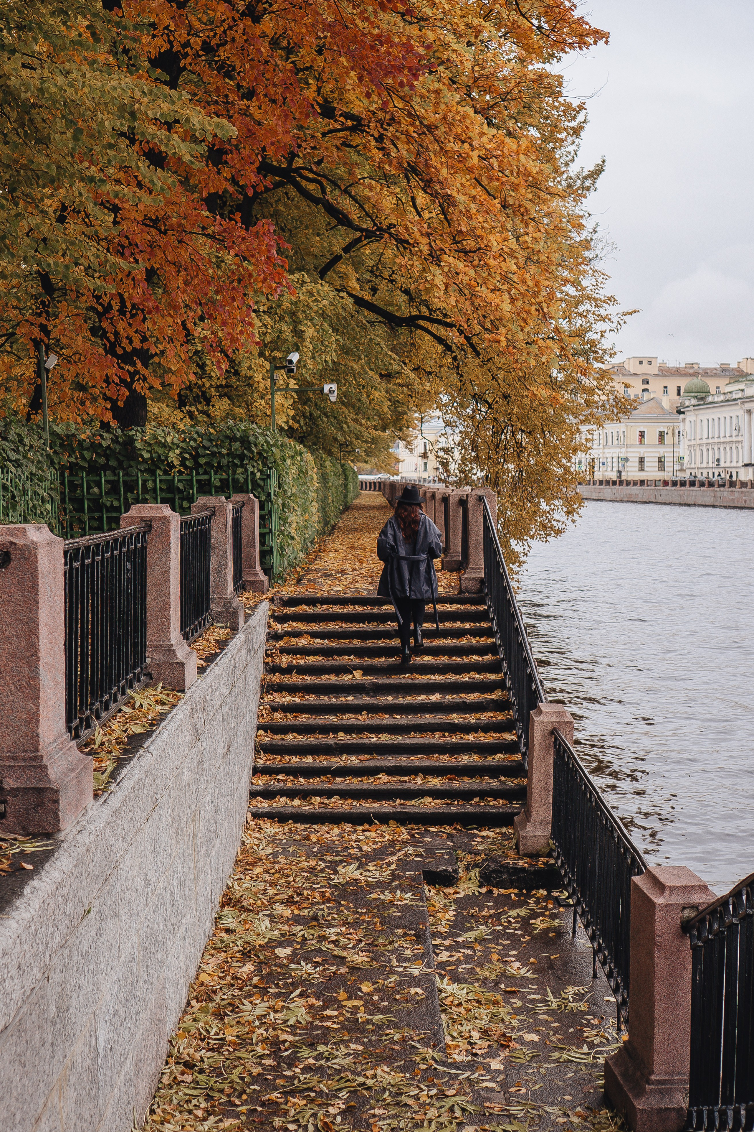 Осень. Профессиональный фотограф, Санкт-Петербург — Виктория Богомолова