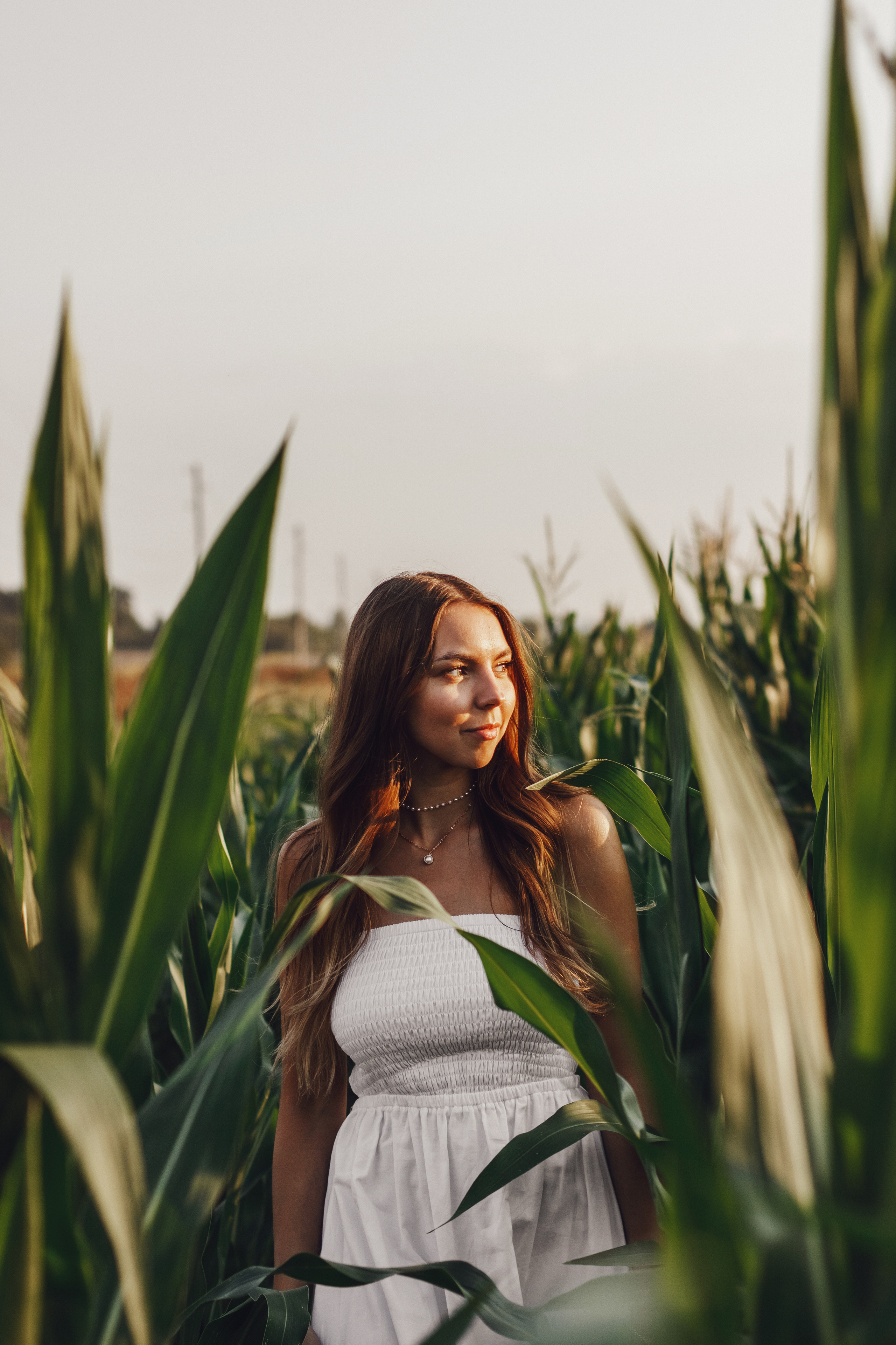 Фотосессия в кукурузном поле. Контентный фотограф в Перми Натали Кытманова