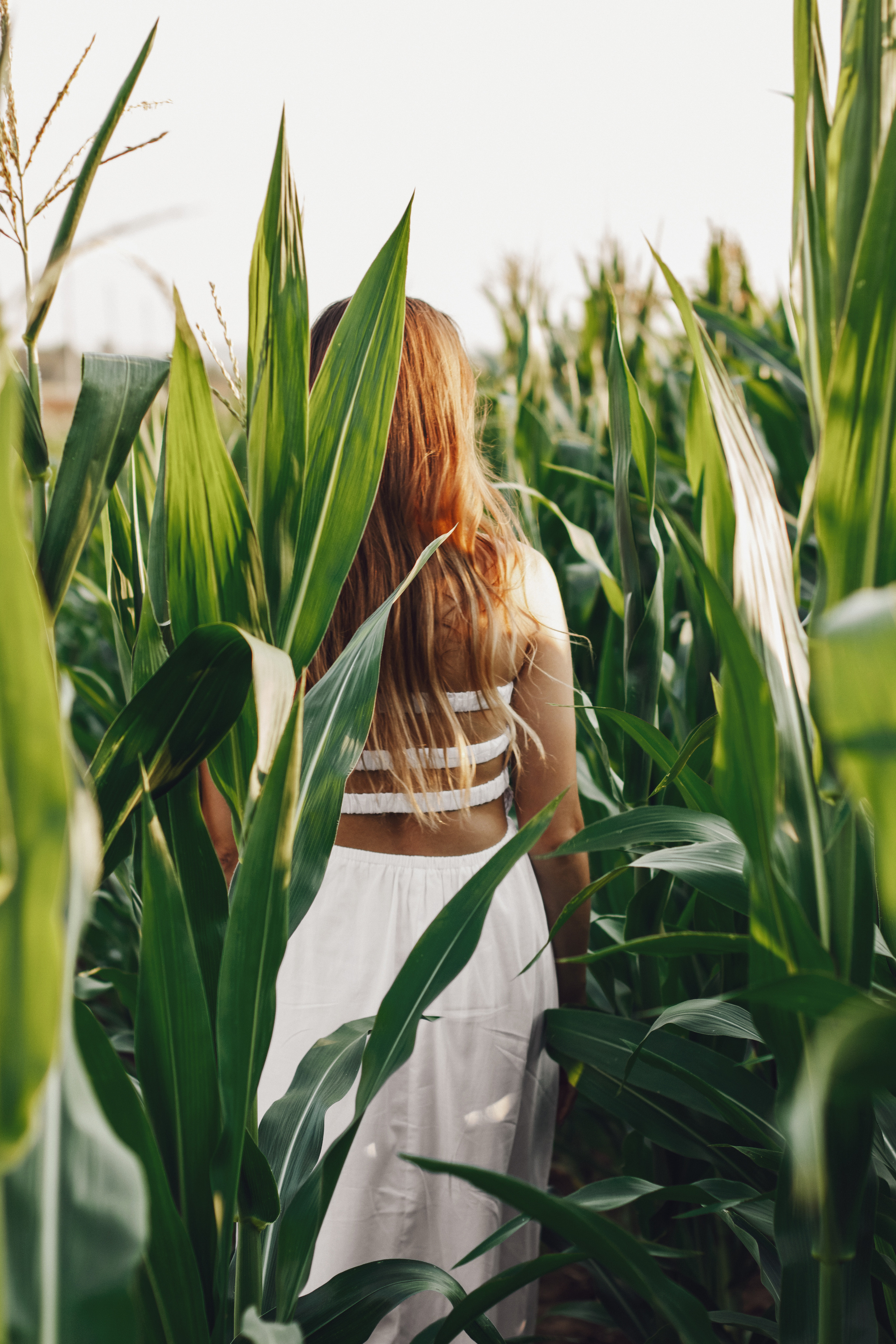 Фотосессия в кукурузном поле. Контентный фотограф в Перми Натали Кытманова