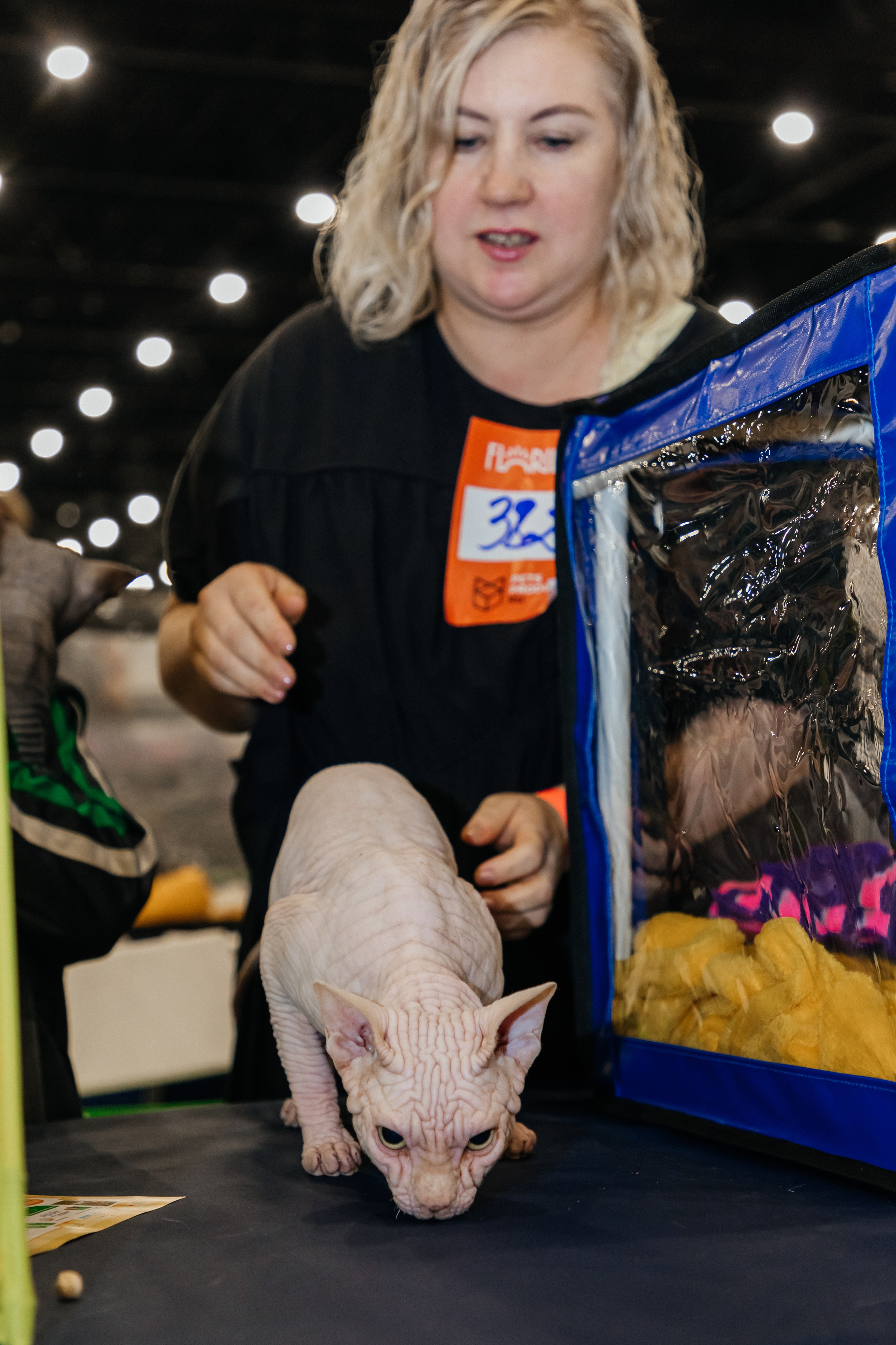 Зоошоу. Экспофорум 31.08. Выставка домашних животных. Семейный фотограф в Санкт-Петербурге Ева Маркова