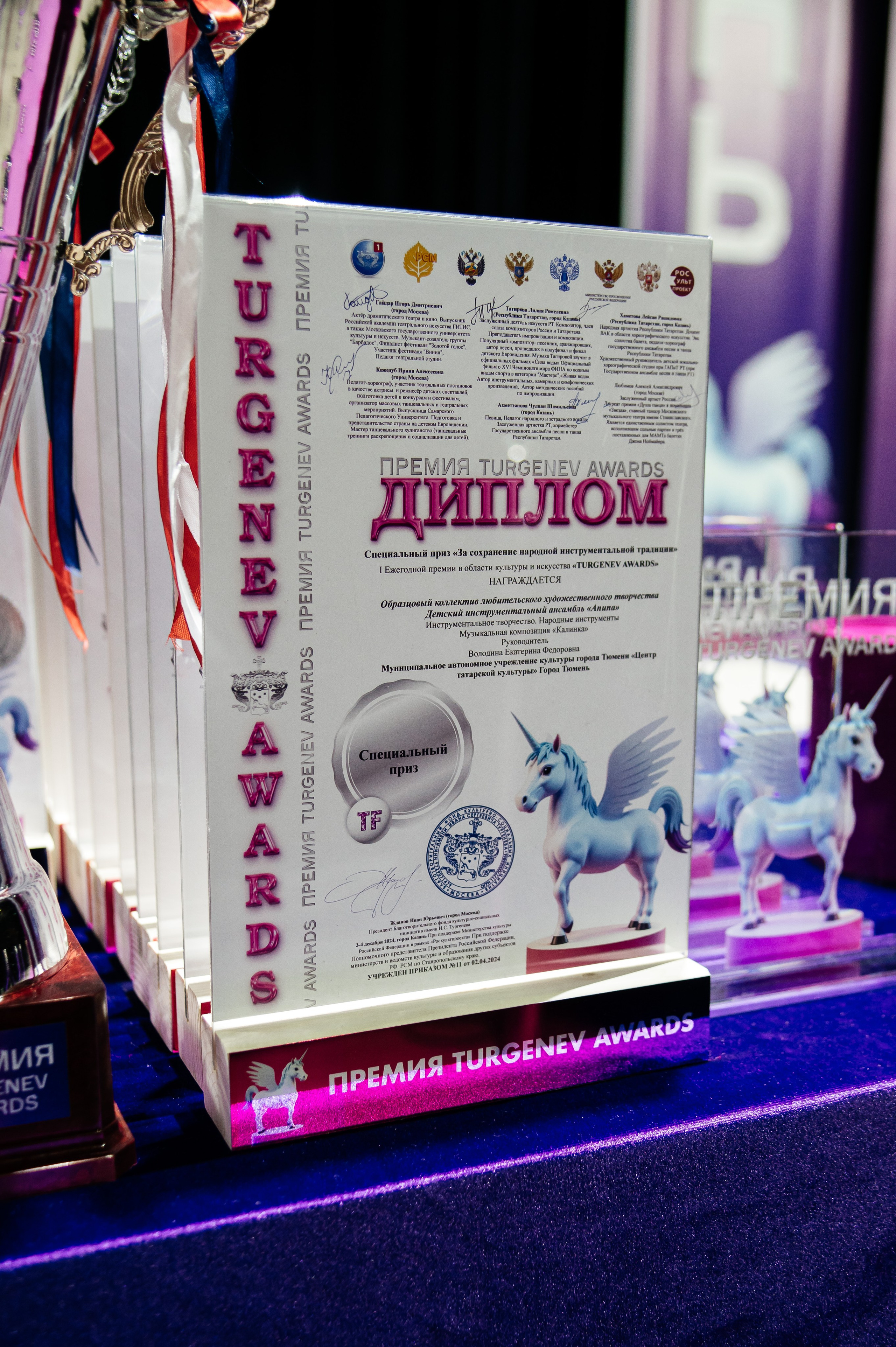 Всероссийская премия. Фотограф Виктория Ахметова Казань Москва