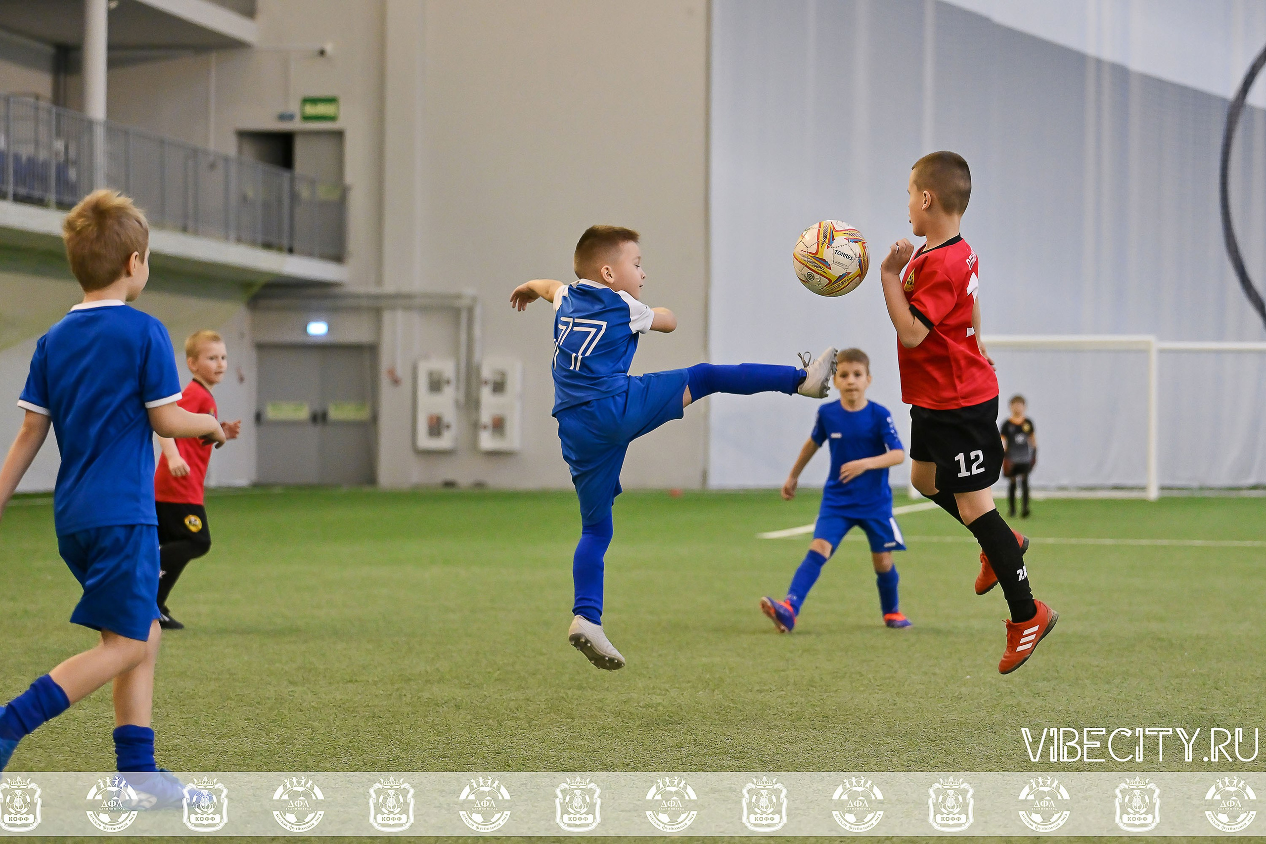 КУБОК БАЛТИЙСКОЙ ЛИГИ U6. VIBECITY.RU Вайб Сити Ру Фоторепортажи Фотоотчеты Калининград