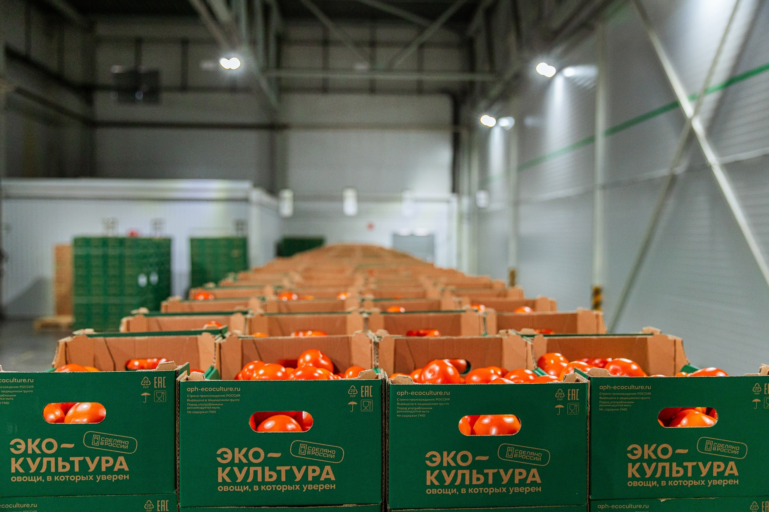 Производство. Фотограф Николай Петрушкин | Ставрополь, Москва