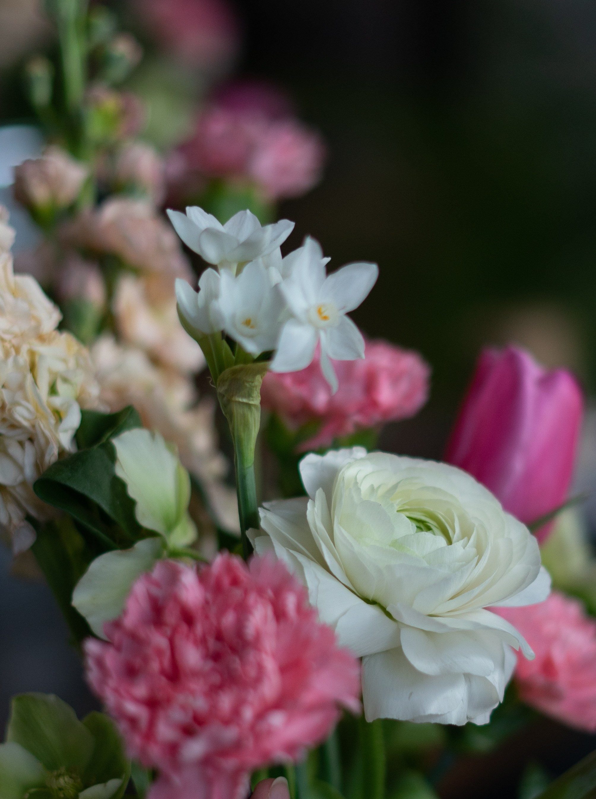 MC from a florist. Портретный и семейный фотограф в Мариуполе, РФ. Даша Жогло