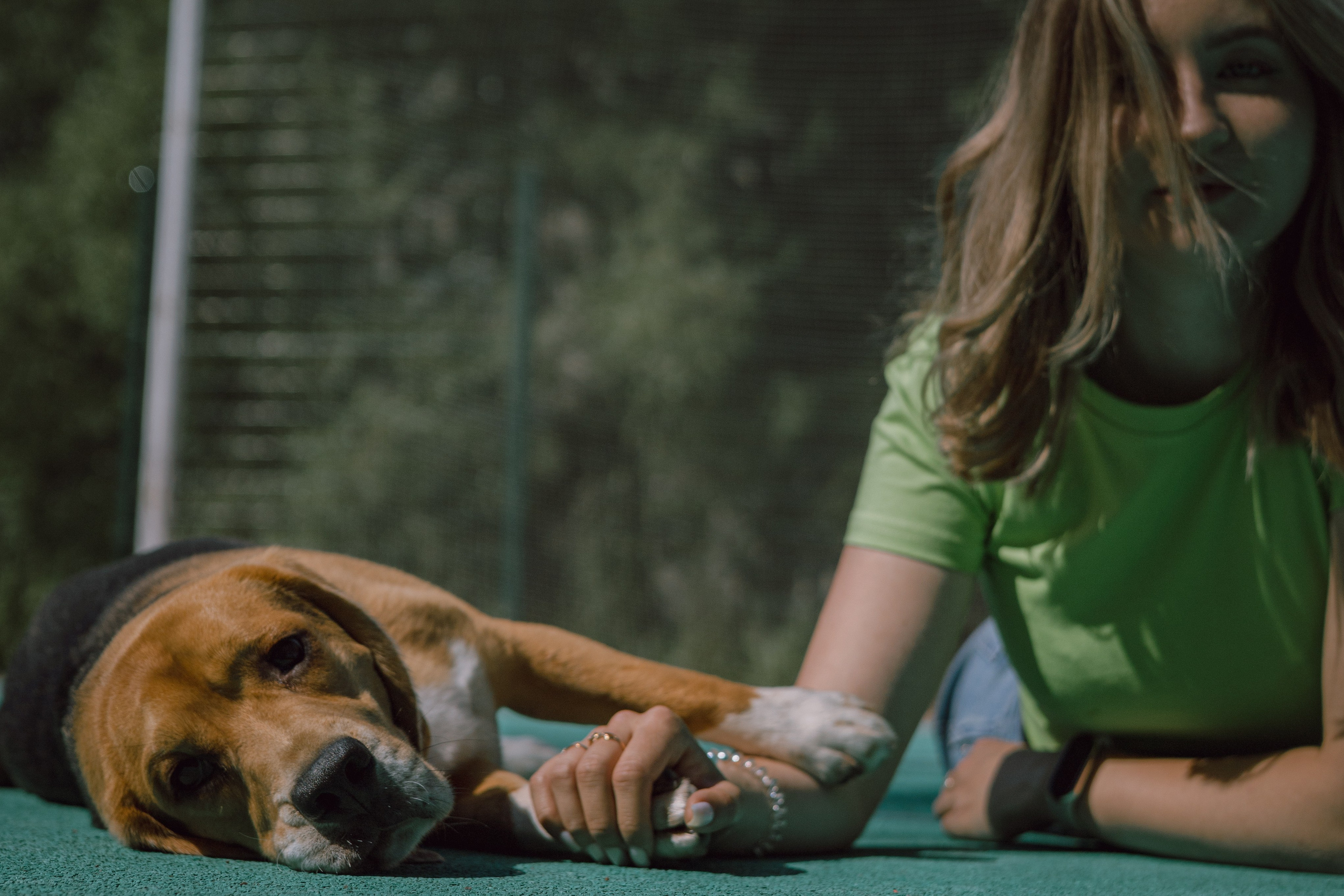 Оуджи и Катя. Фотограф — анималист •love-story•|Санкт-Петербург