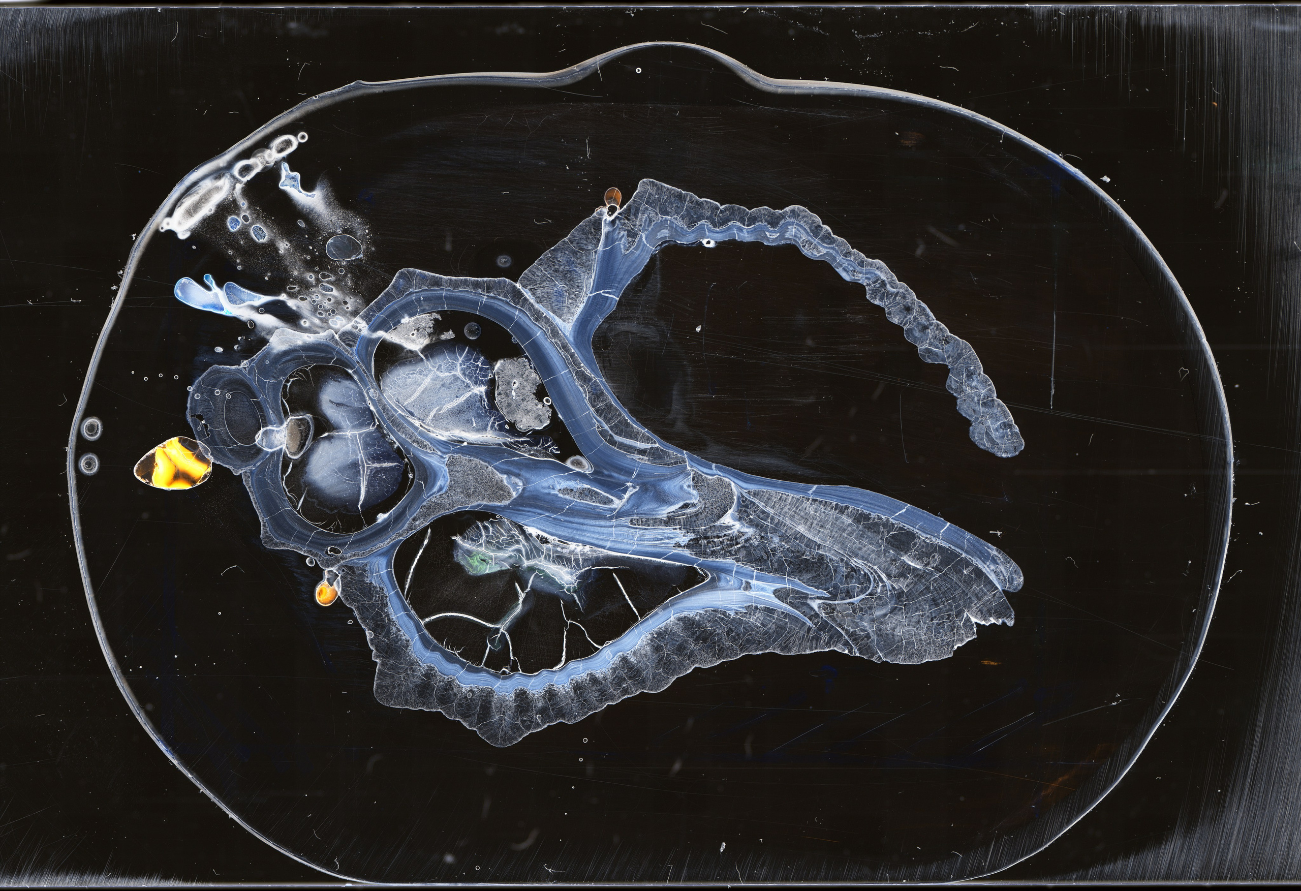 Три космоса. Фотограф Михаил Стенин