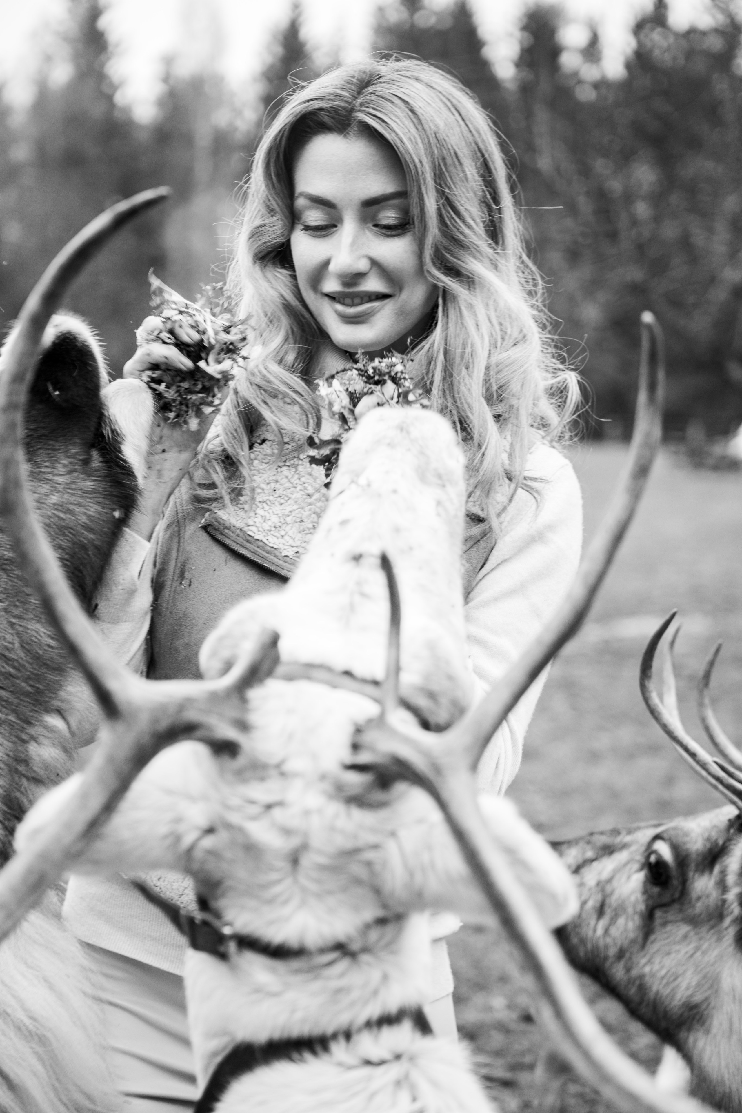 Экспресс с оленями. Свадебный и семейный фотограф Анастасия Багрец