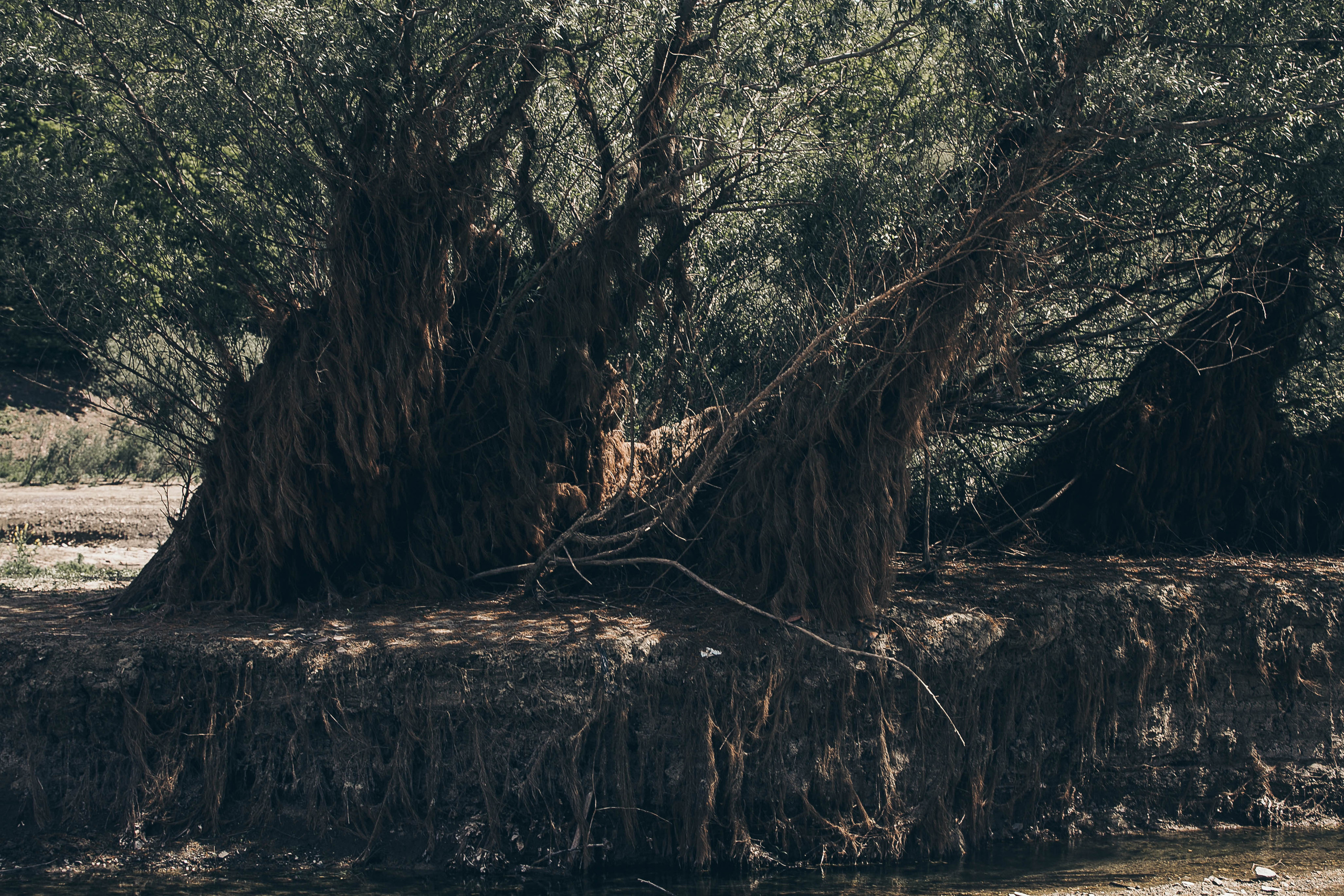 Фотоистория - Красная Шапочка. Саша Свенская — фотограф и фоторежиссер Новороссийск, Кабардинка