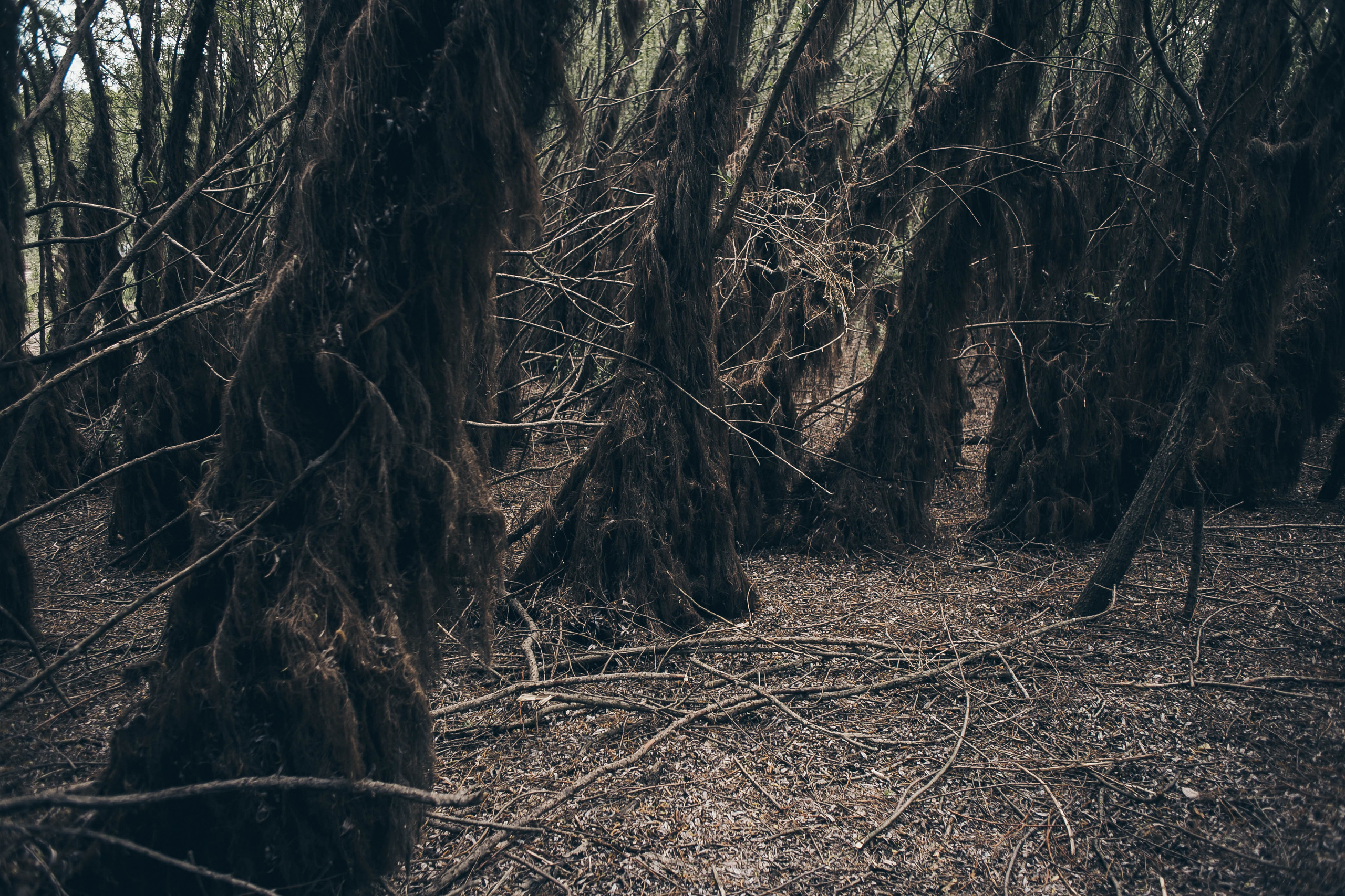 Фотоистория - Красная Шапочка. Саша Свенская — фотограф и фоторежиссер Новороссийск, Кабардинка