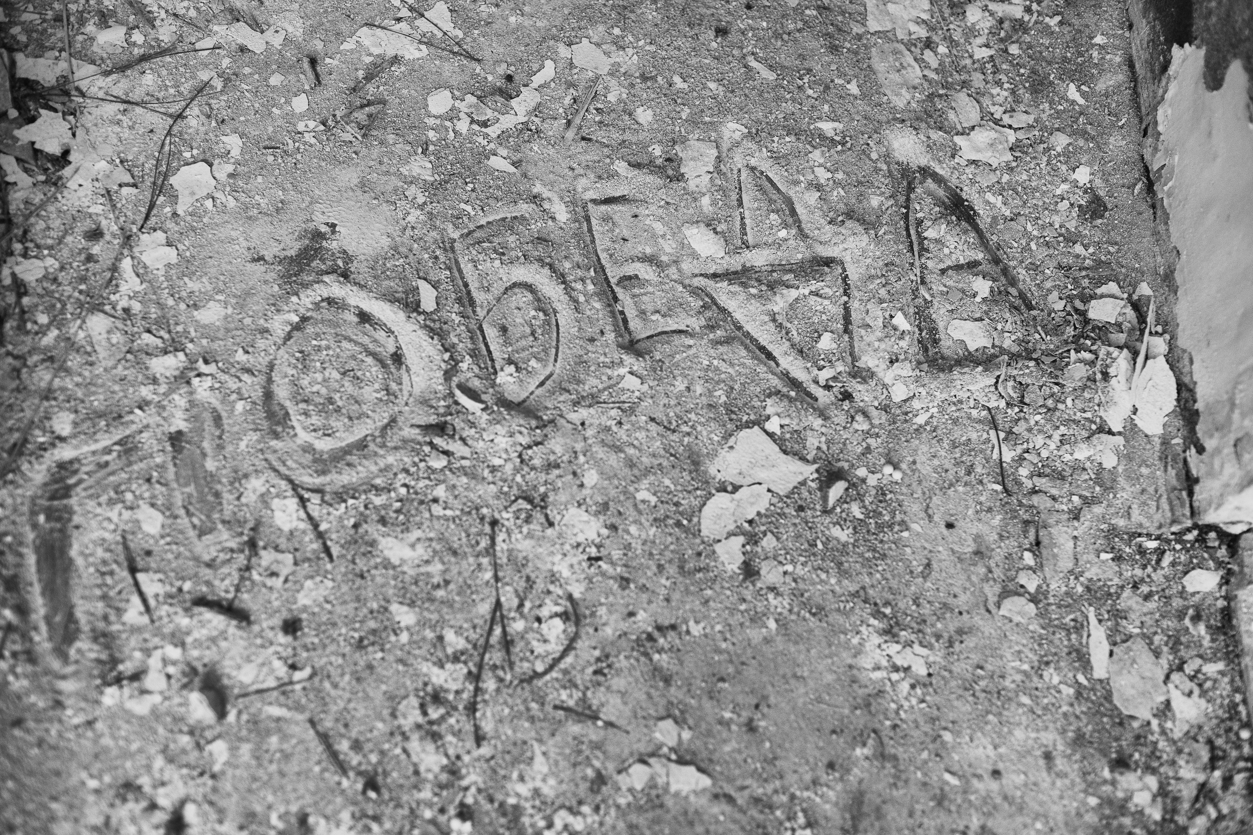 Окна победы. Саша Свенская — фотограф и фоторежиссер Новороссийск, Кабардинка