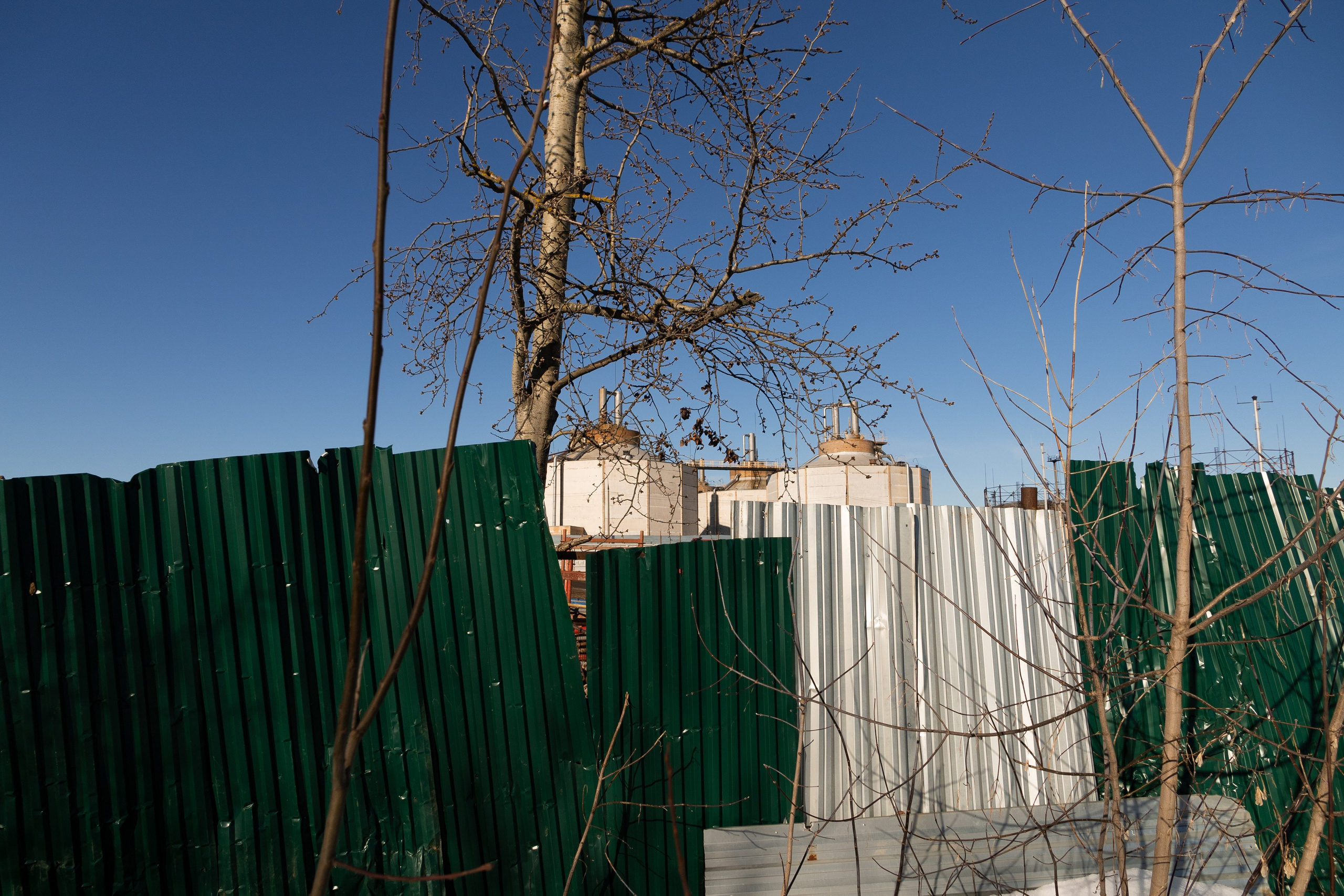 Я здесь живу. DASHA KALNINA