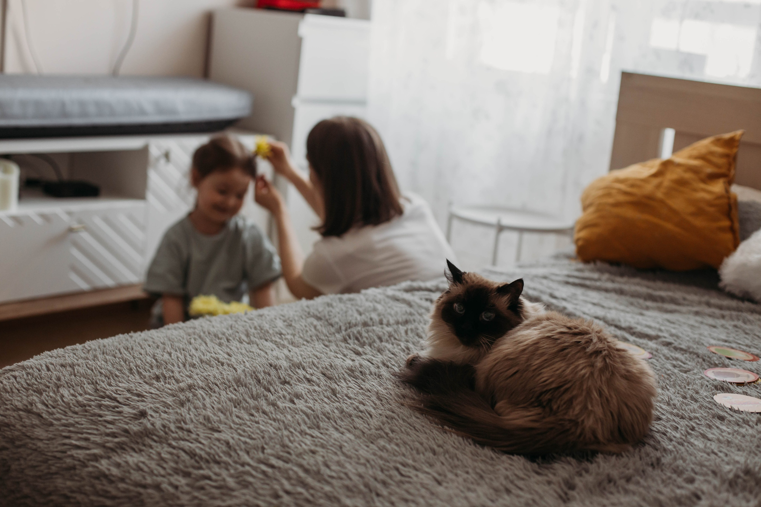 Нина и Алина. Фотограф в Санкт-Петербурге Дарья Заплитная