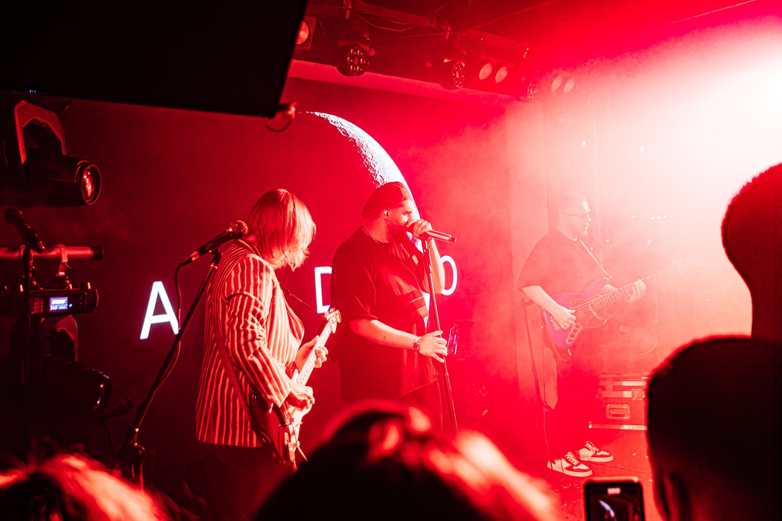 Чайка_на_пляже_Андро_Ялта_24.08.2024. Аминов Руслан | Фотограф