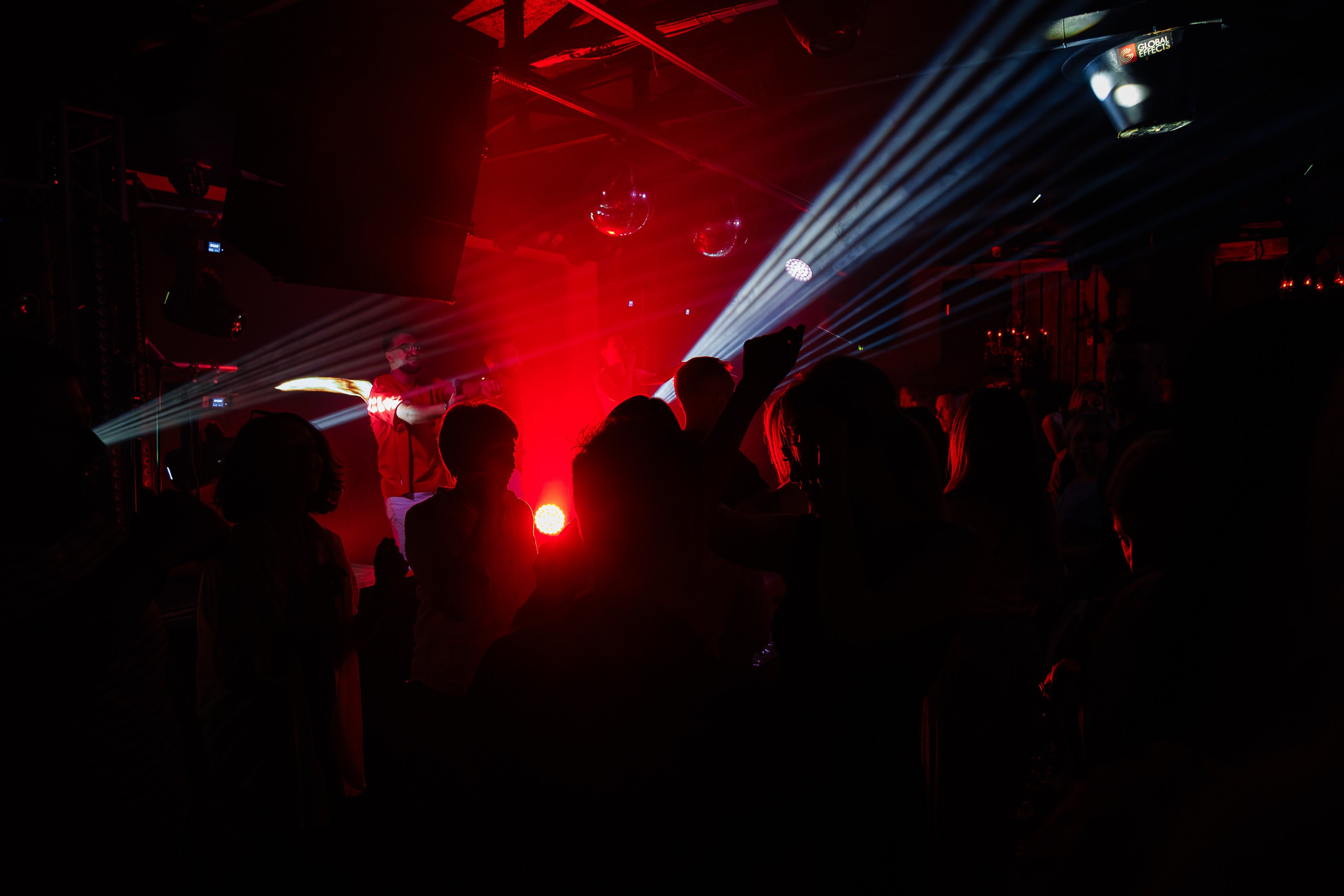 «Karena Makarena"_Чайка на пляже_ Ялта_6.06.2025 г. Аминов Руслан | Фотограф