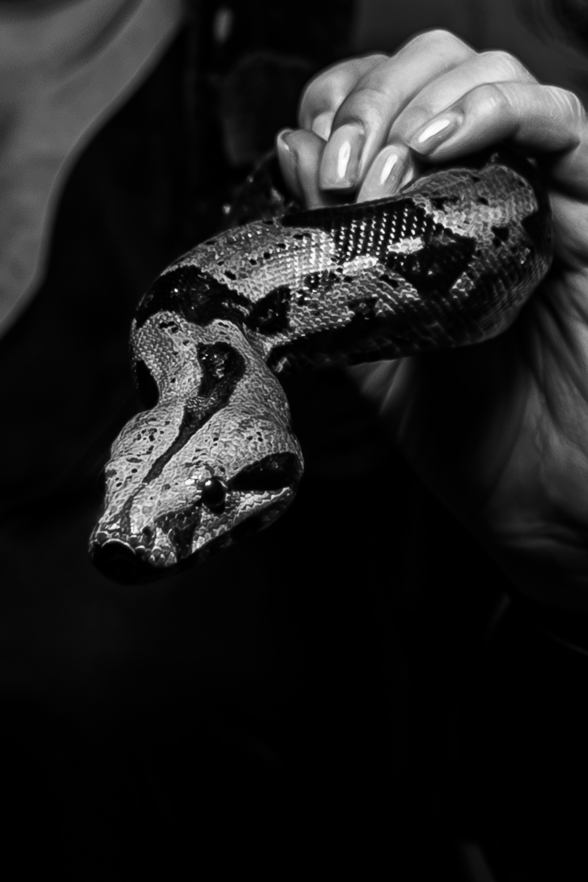 Новый годный АнтиКвиз_Palmira Palace_Ялта_15.12.2024. Аминов Руслан | Фотограф