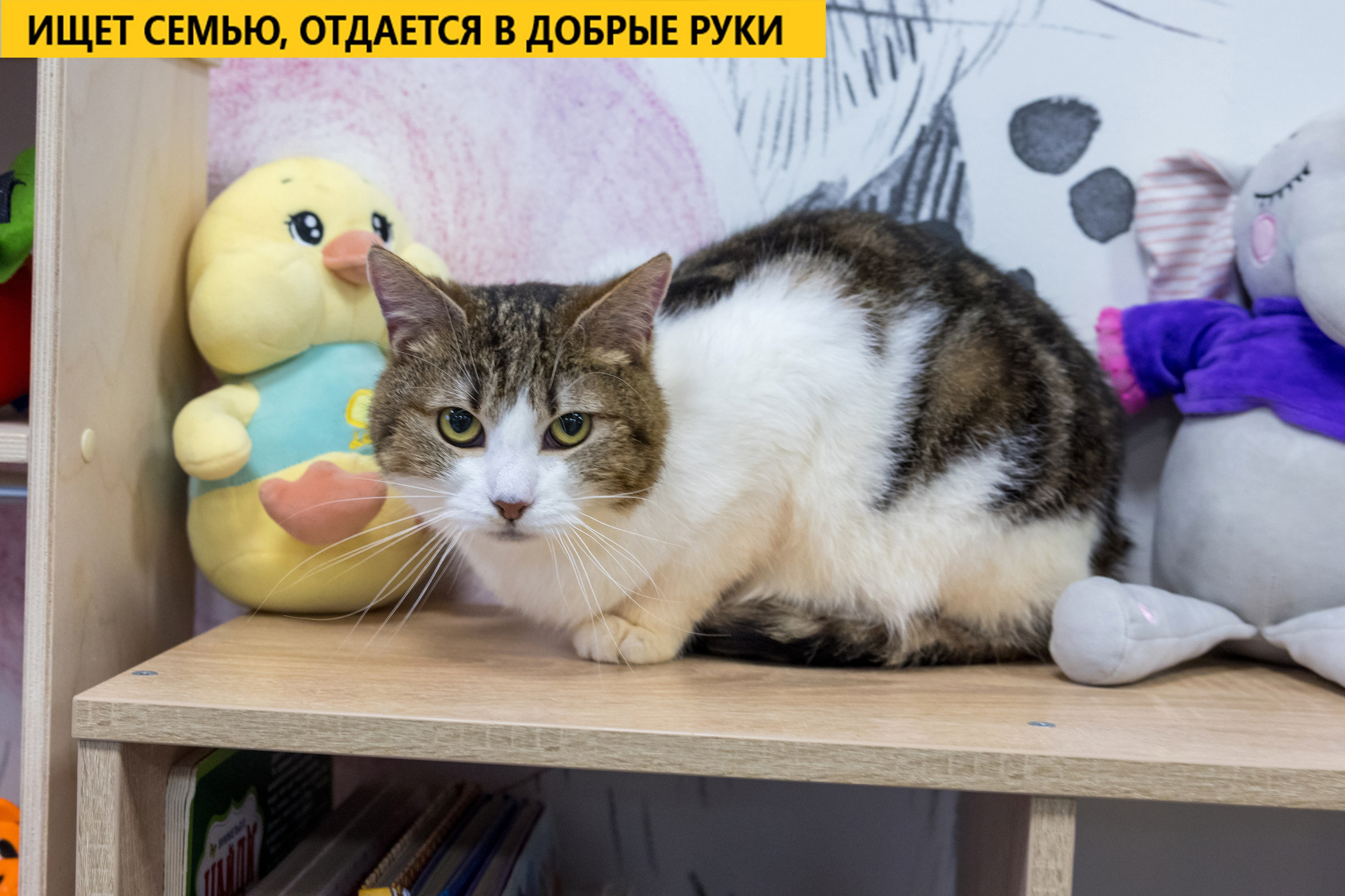 Рекламная съемка в Москве. Геннадий Степанов —фотограф в Москве