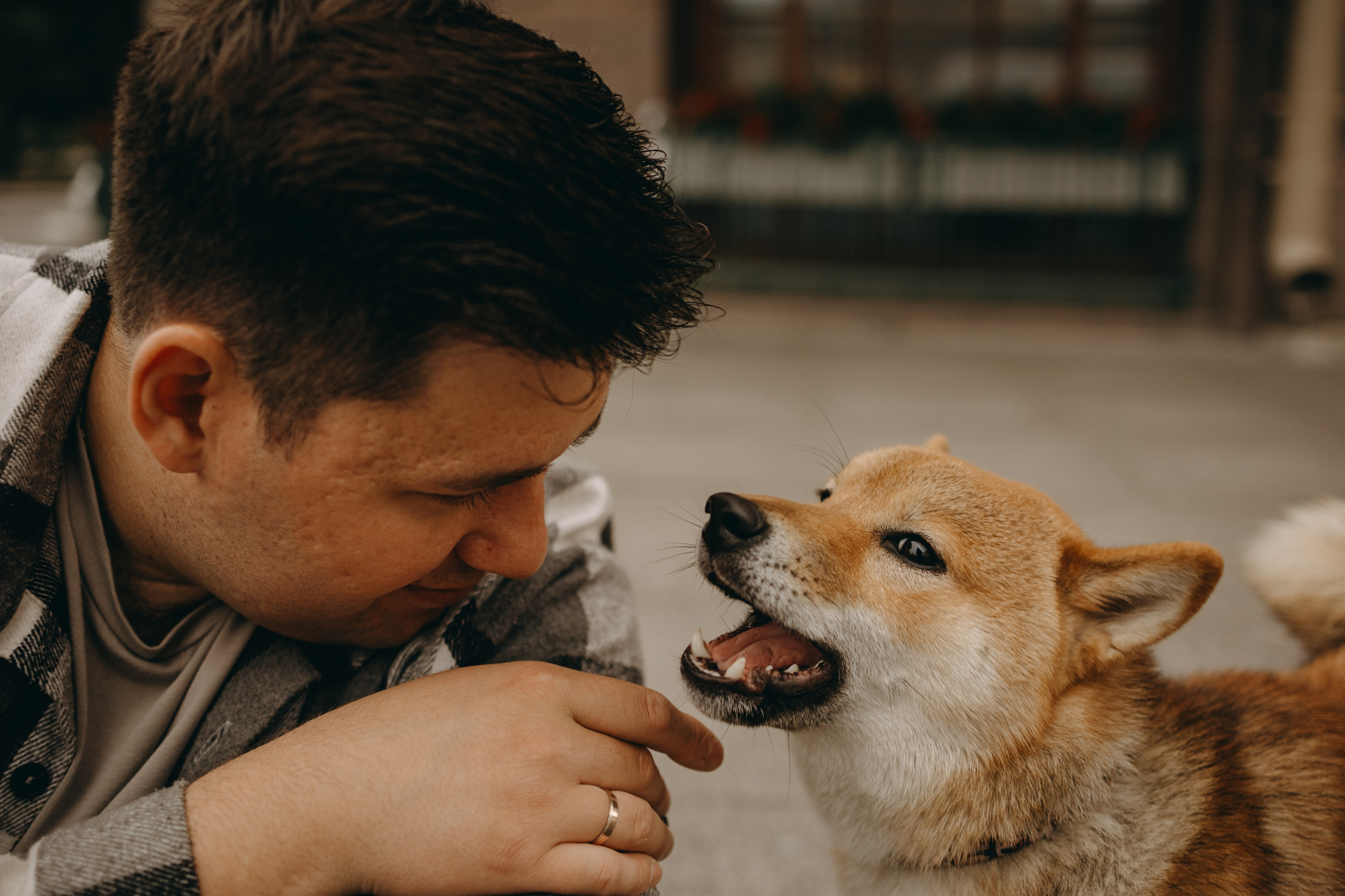 Сириус и его семья. Фотограф — Анималист | Санкт-Петербург