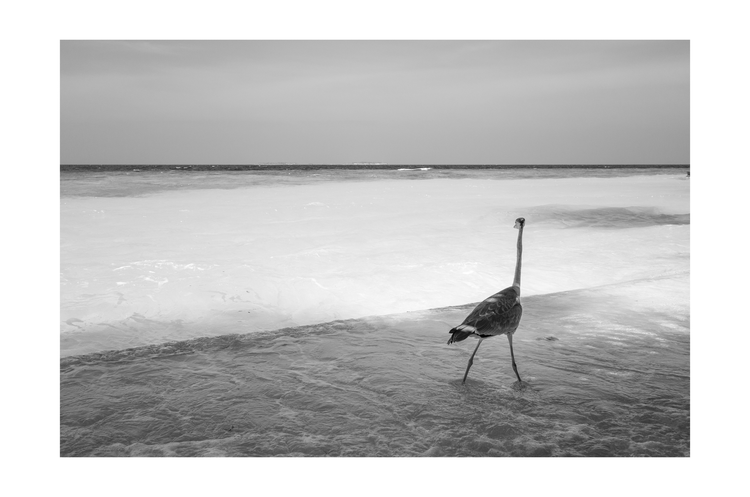 Интерьерные фотографии Мальдив. Фотографии Руслана Сайдалиева (Рус Сай)