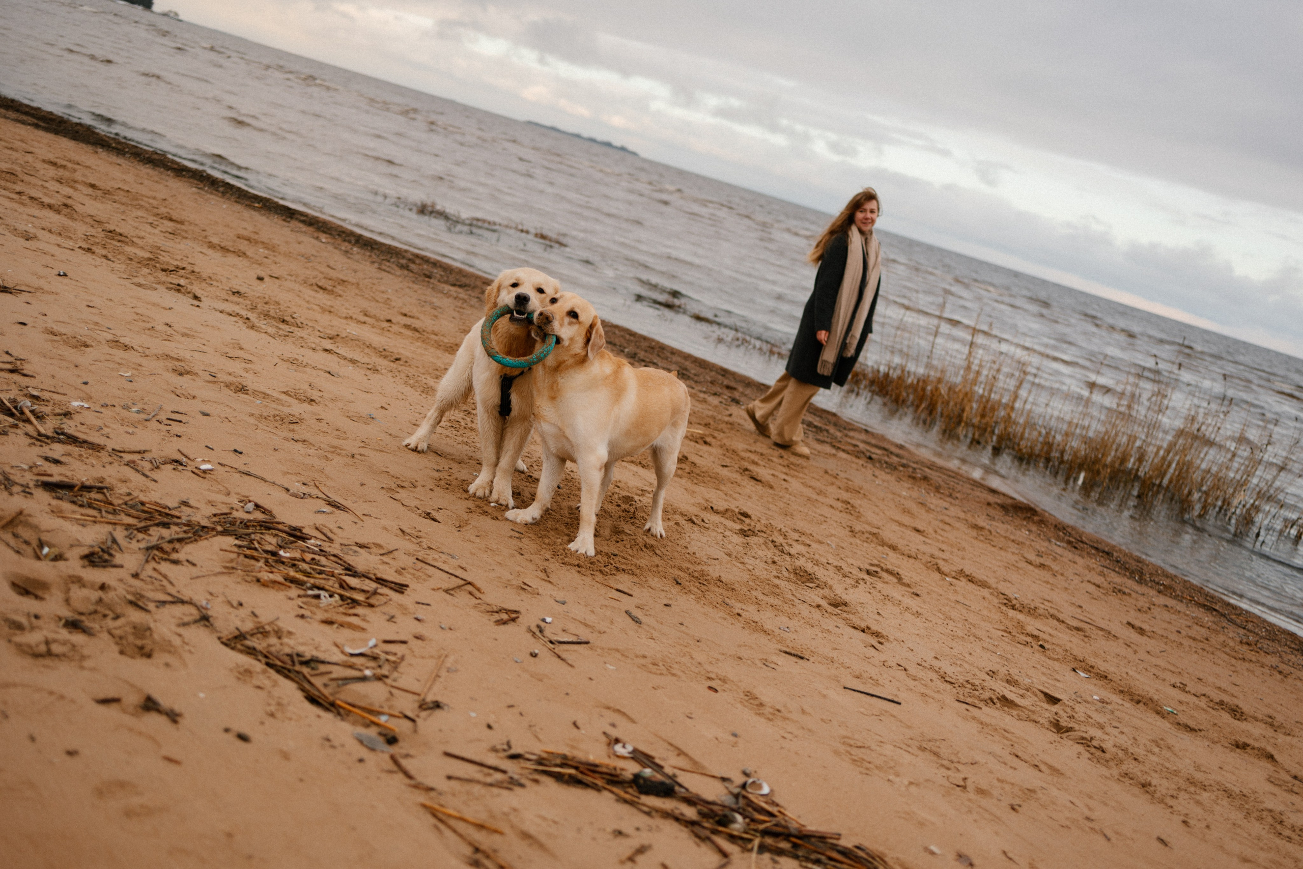 Ирина и Бася. Фотограф — Анималист | Санкт-Петербург