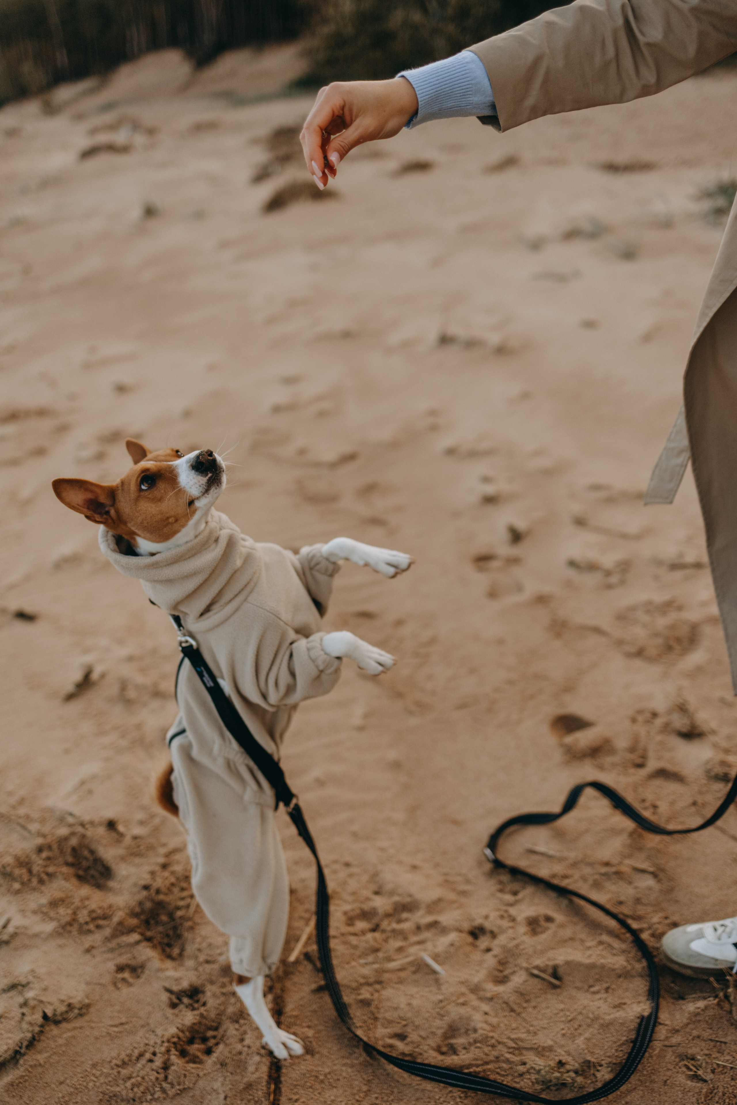 Алиса и Лео. Фотограф — Анималист | Санкт-Петербург