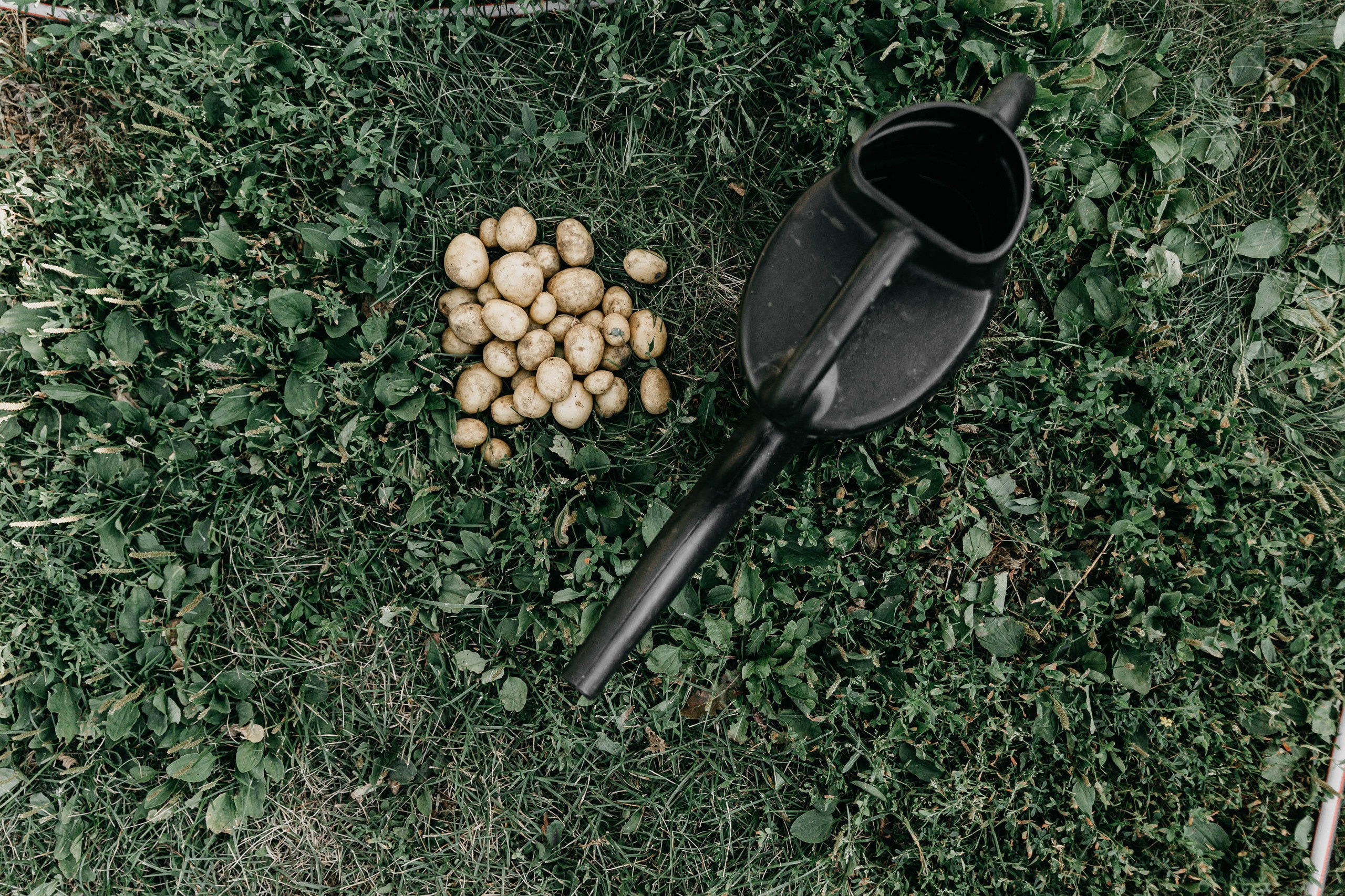 Саша Землянская. Свадебный фотограф Москва, Воронеж