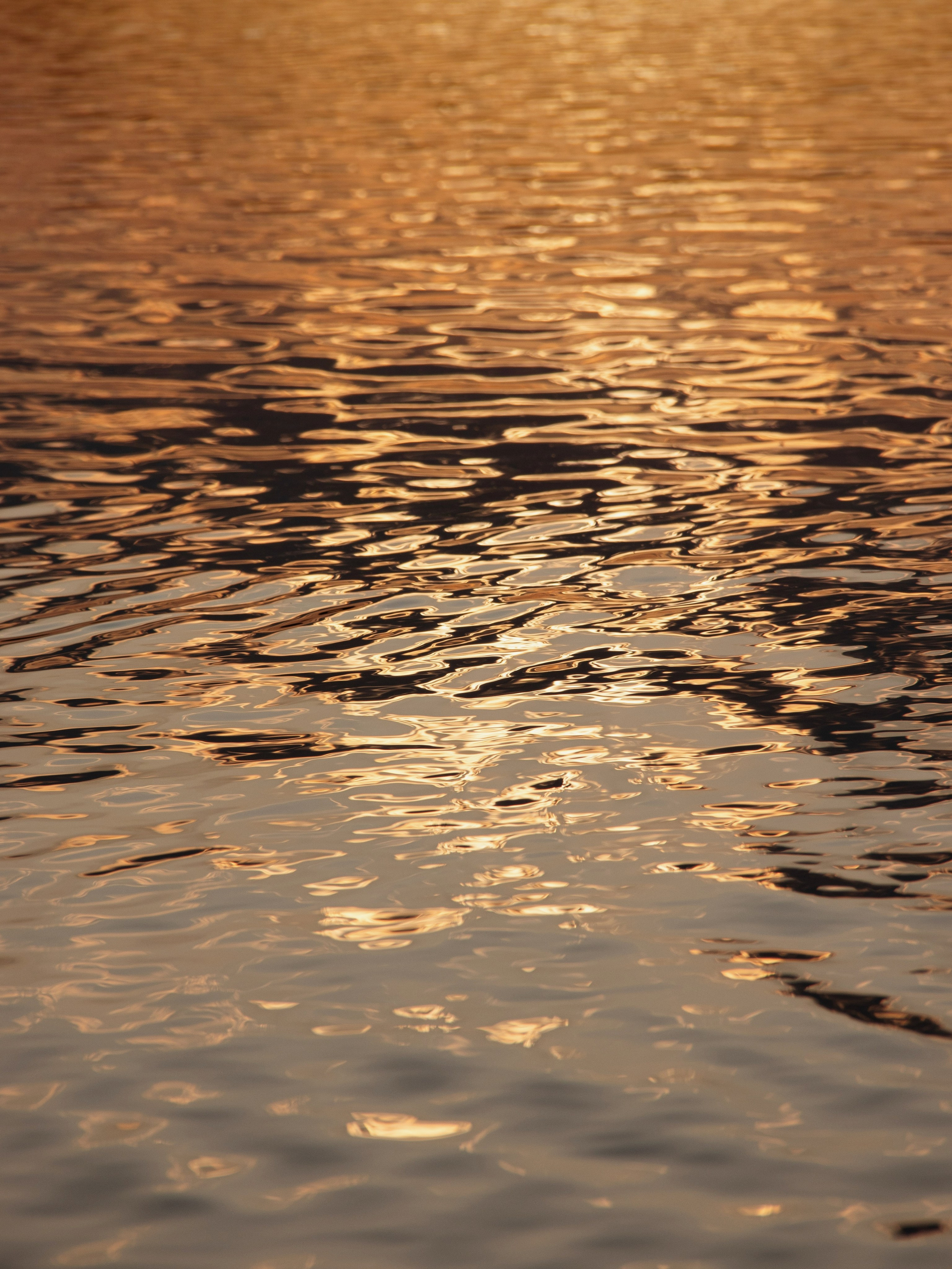 Жидкое золото. С любовью, фотохудожник