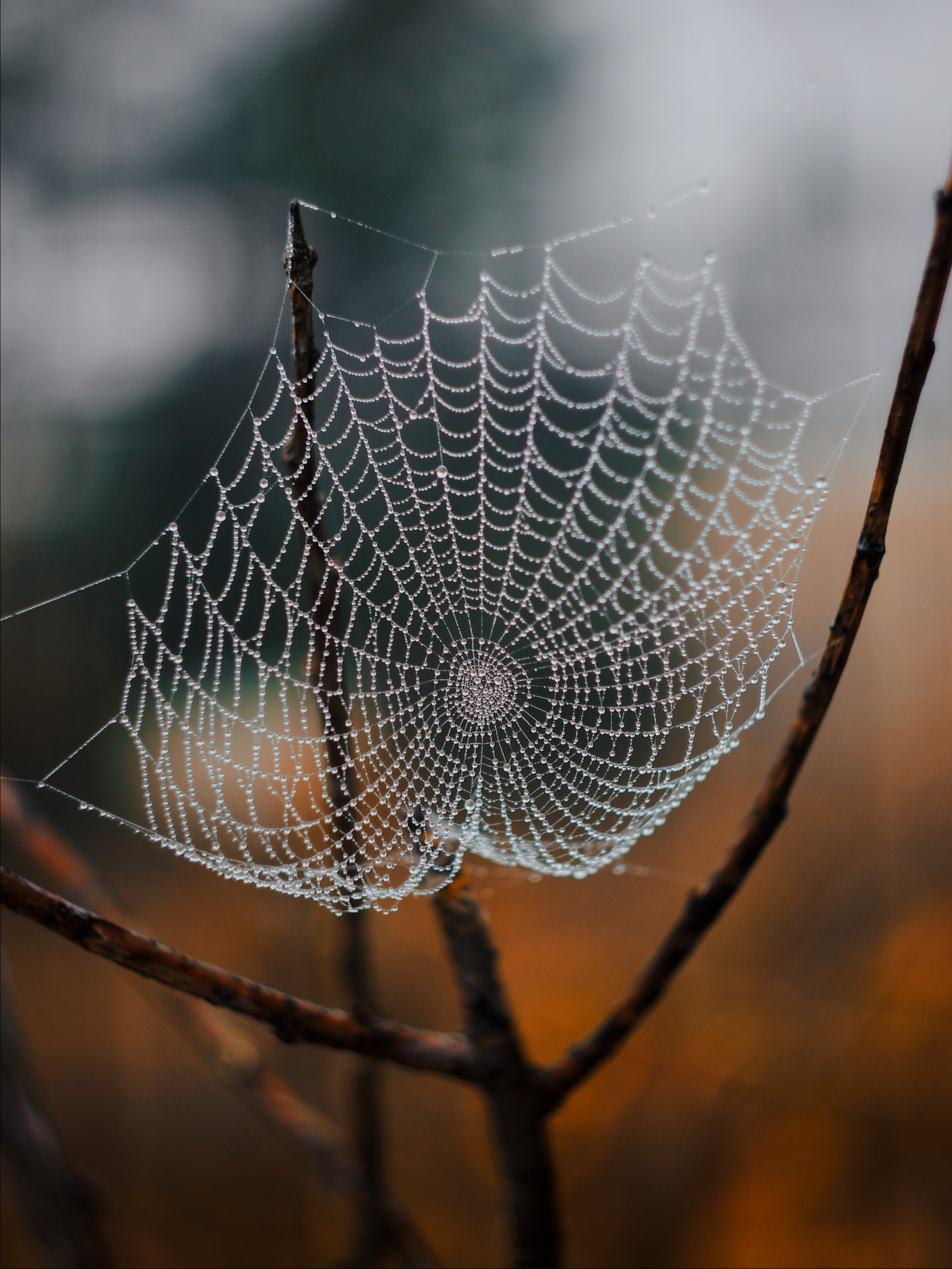 Меланхолия августа. С любовью, фотохудожник