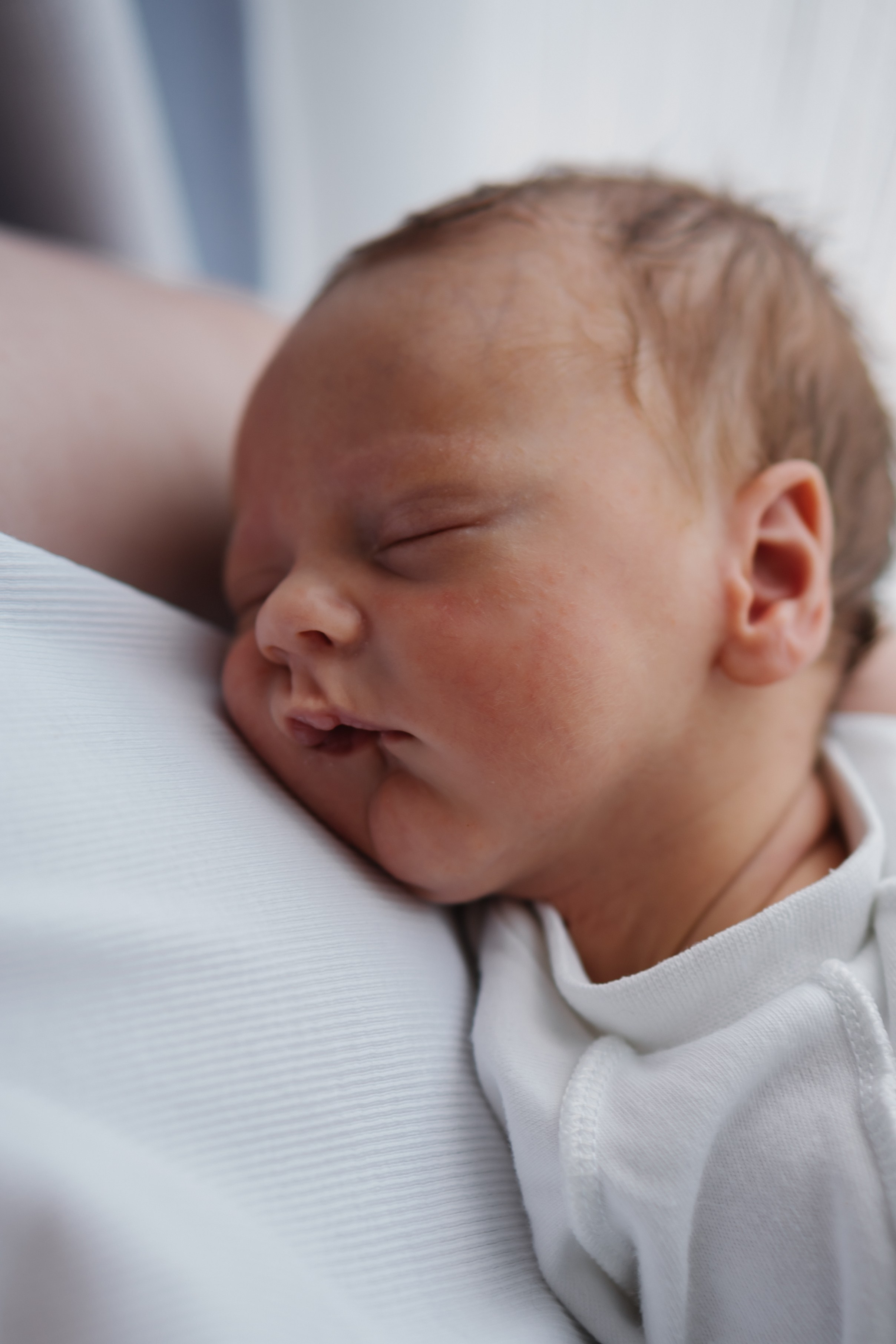 Петя с родителями, домашняя фотосессия. Фотограф Ольга Игорева